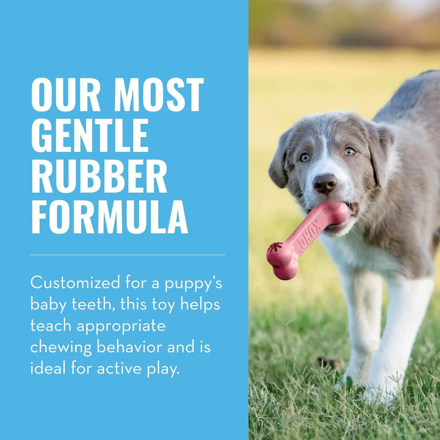 Juguete Masticable Rellenable Para Cachorros De Goma Natural KONG