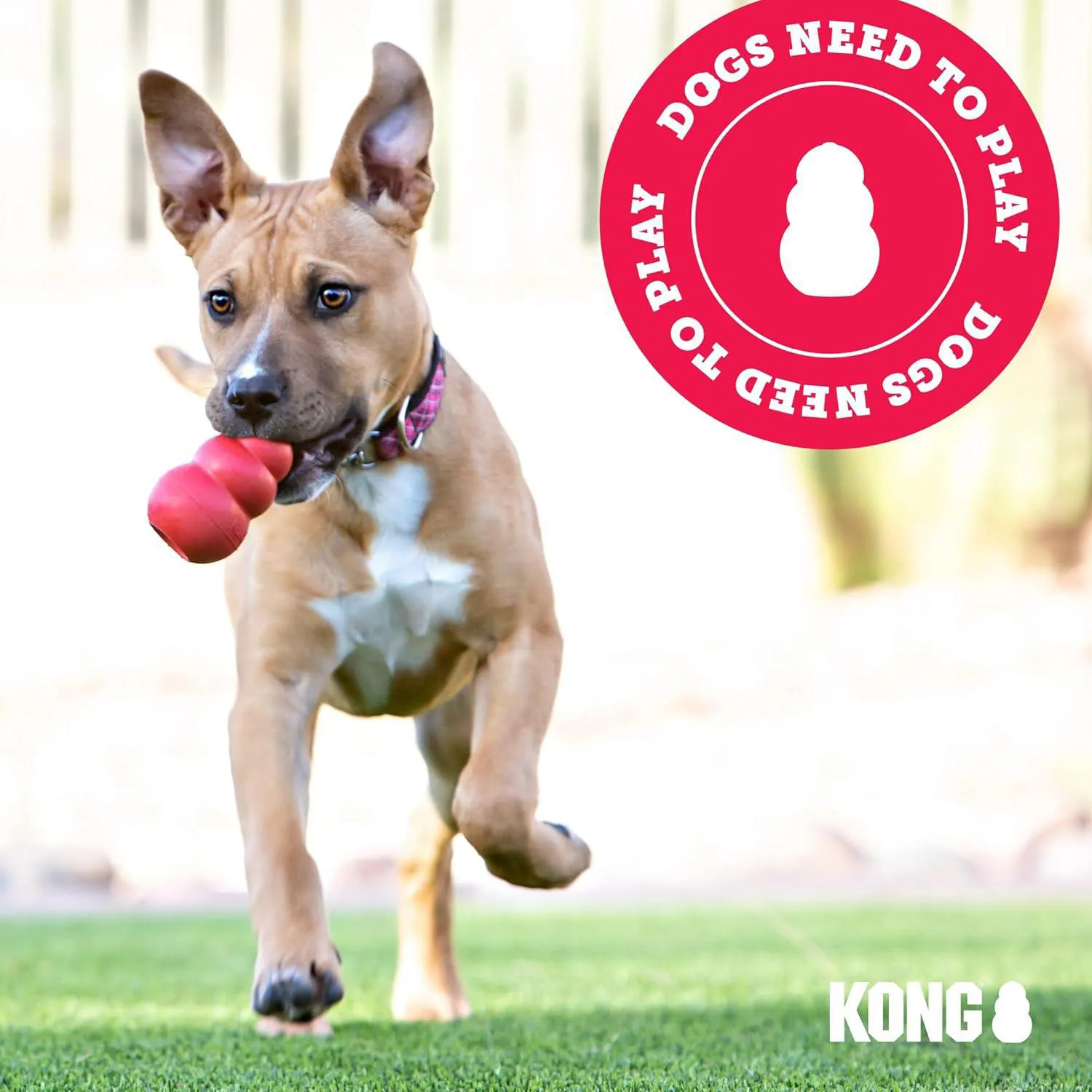Juguete Masticable Rellenable Para Cachorros De Goma Natural KONG 6