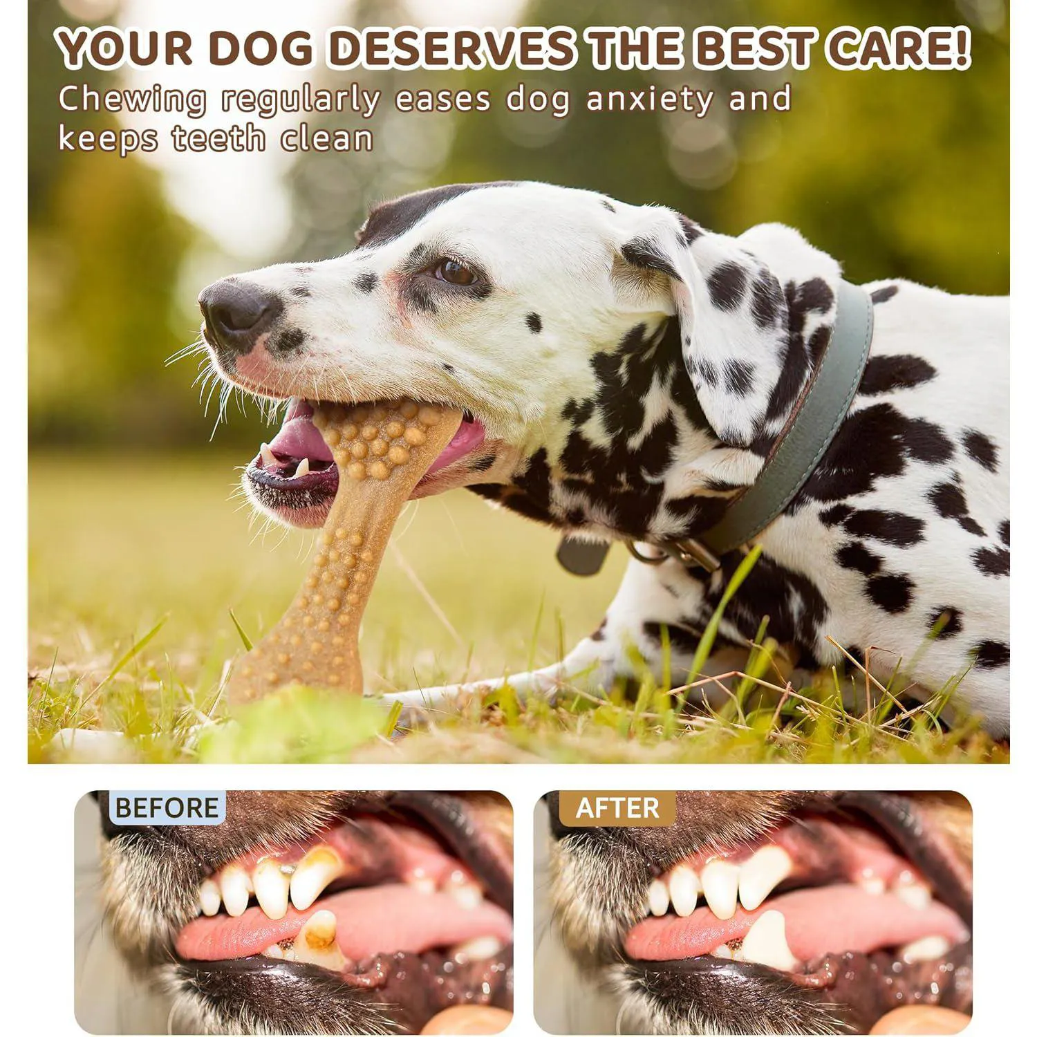 Juguete Resistente Para Perros Masticadores Agresivos Con Limpieza Dental 6