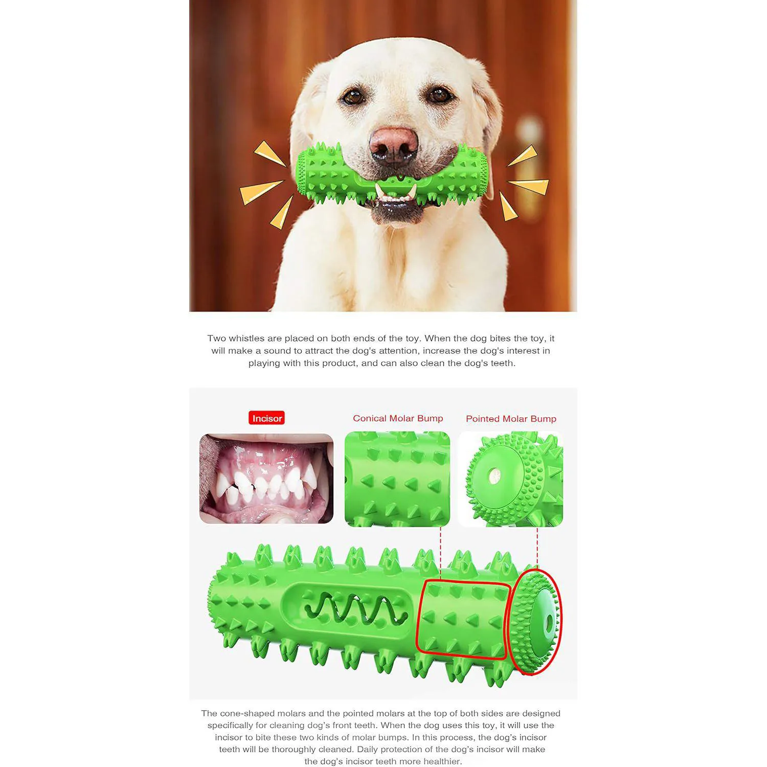 Juguete Masticable Para Perros Con Diseño De Cepillo Dental Y Relleno De Golosinas 3