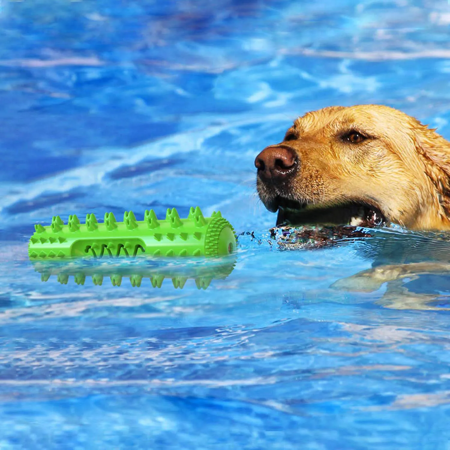 Juguete Masticable Para Perros Con Diseño De Cepillo Dental Y Relleno De Golosinas 7