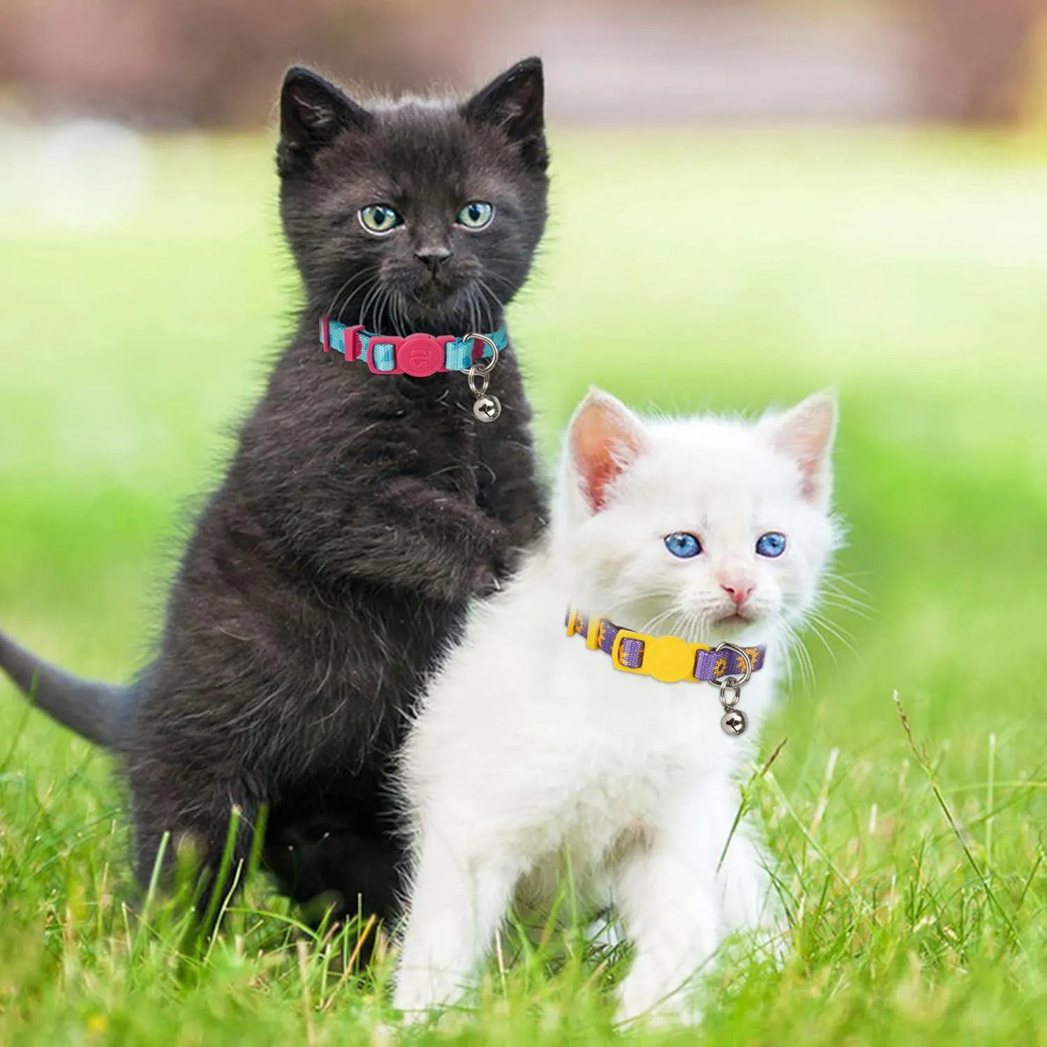 Paquete de 4 Collares para Gatitos azuza con Campana, Hebilla de Liberación Rápida y Diseño Floral Ajustable 3