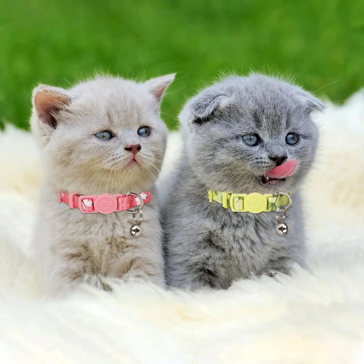 Paquete de 4 Collares para Gatitos azuza con Campana, Hebilla de Liberación Rápida y Diseño Floral Ajustable 4