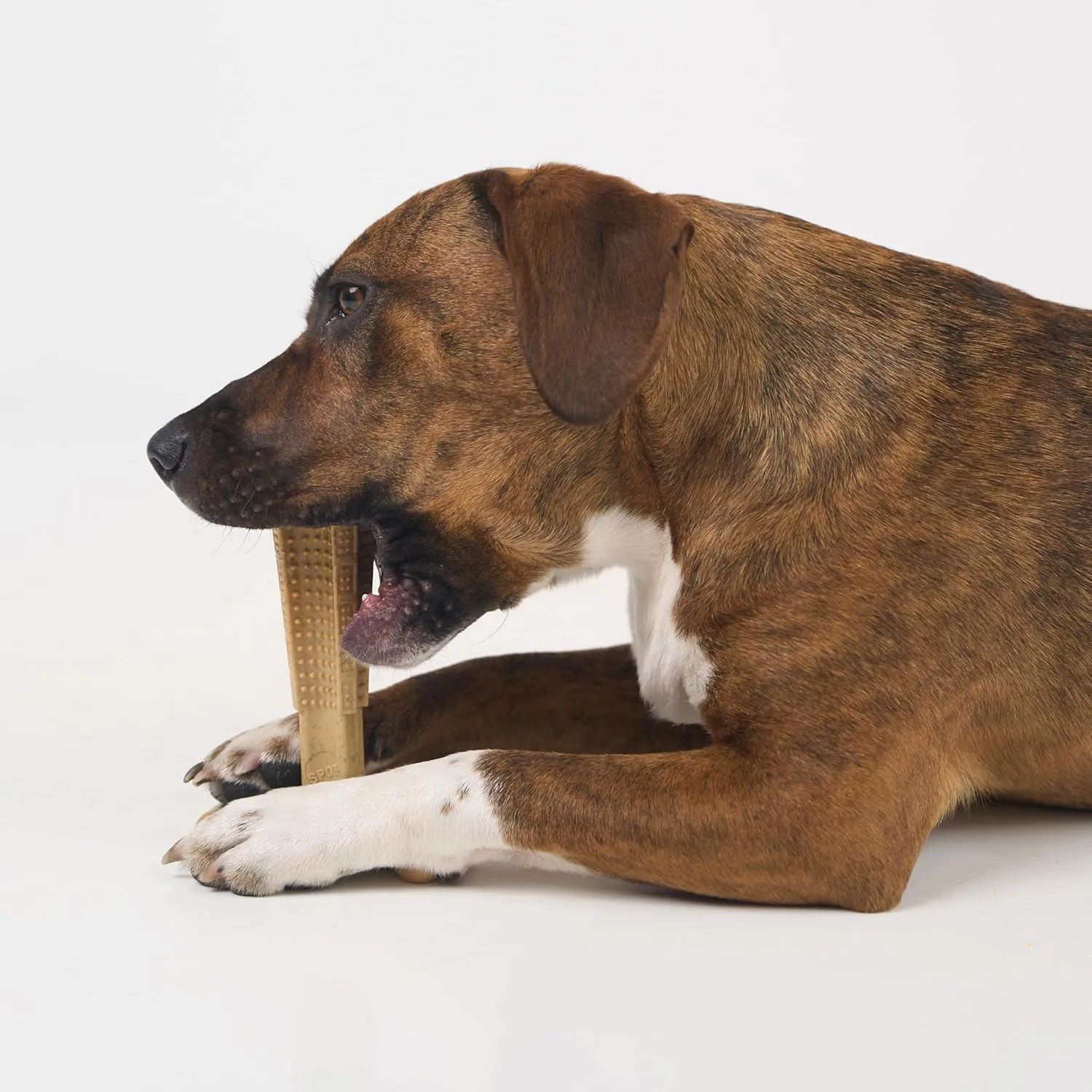 Juguete Para Perros Bam Bones Plus Que Resiste Mordidas Y Cuida Sus Dientes 5