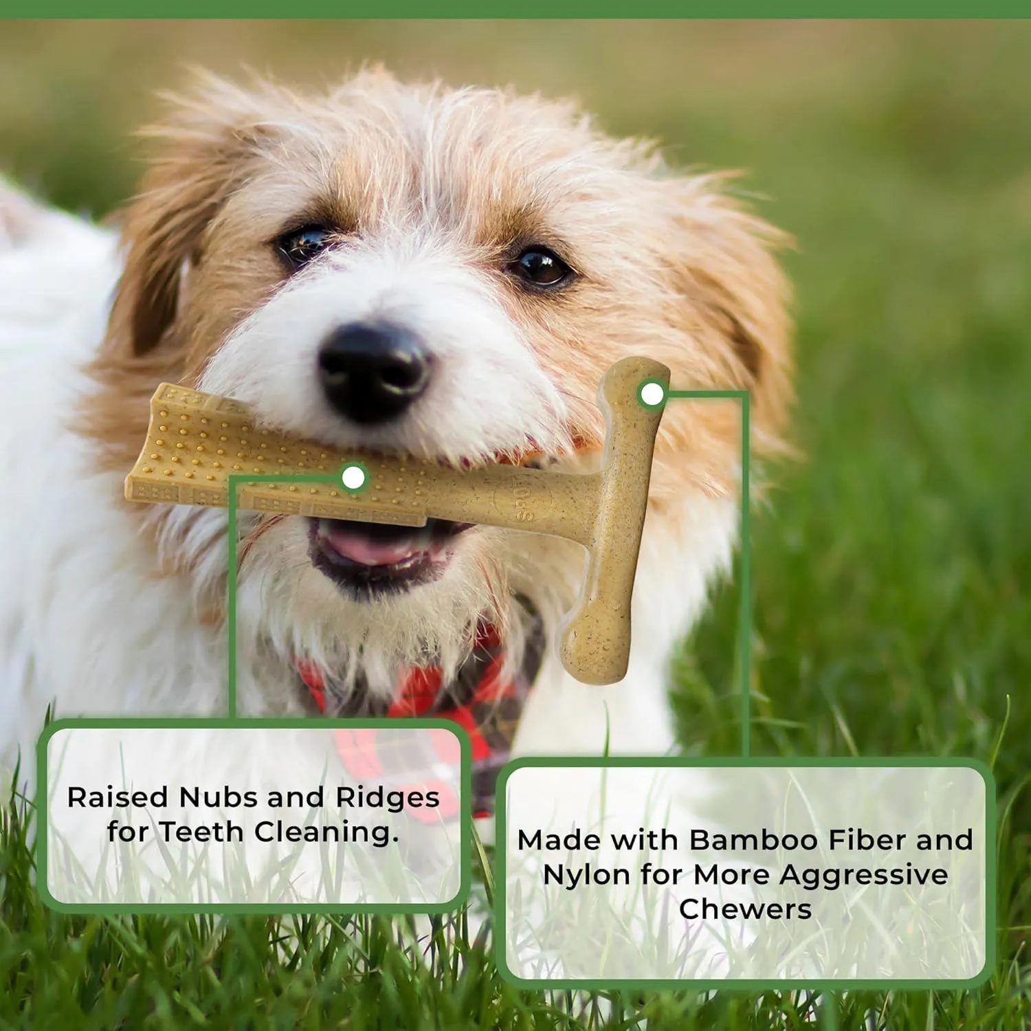 Juguete Para Perros Bam Bones Plus Que Resiste Mordidas Y Cuida Sus Dientes 6