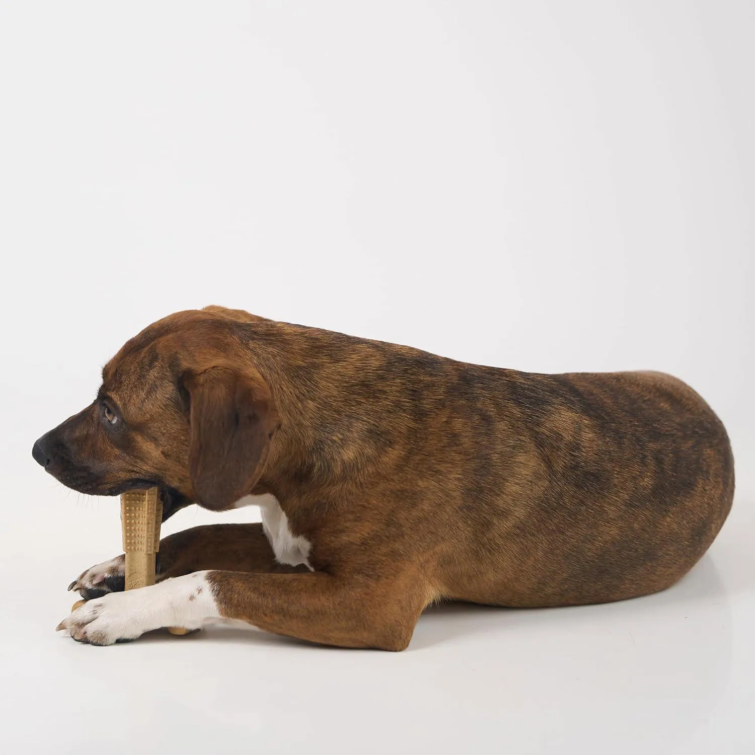 Juguete Para Perros Bam Bones Plus Que Resiste Mordidas Y Cuida Sus Dientes 7