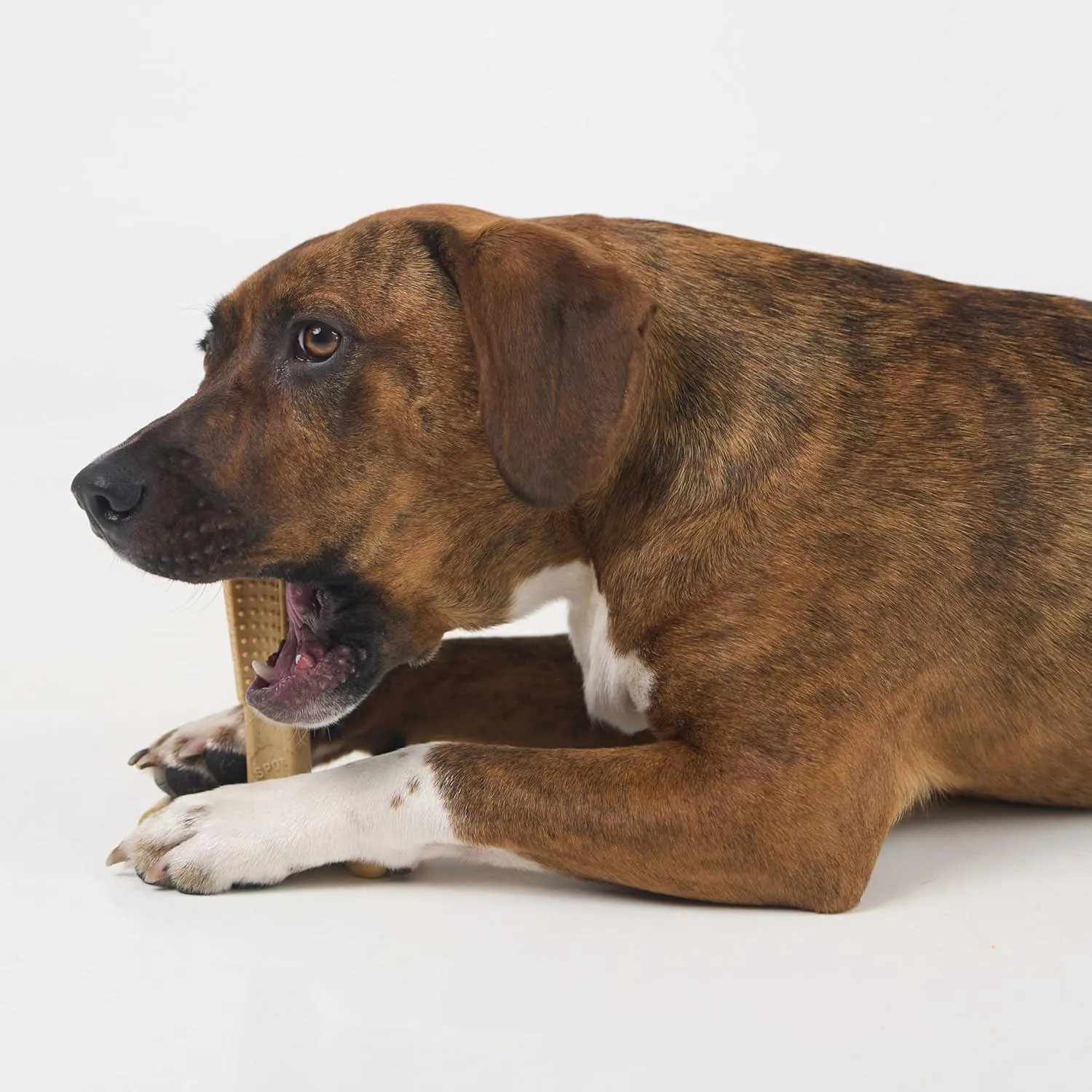 Juguete Para Perros Bam Bones Plus Que Resiste Mordidas Y Cuida Sus Dientes 8