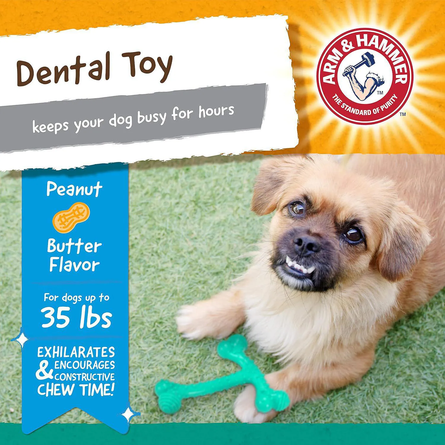 Juguete Dental para Perros con Forma de Hueso y Sabor a Maní Color Verde 3