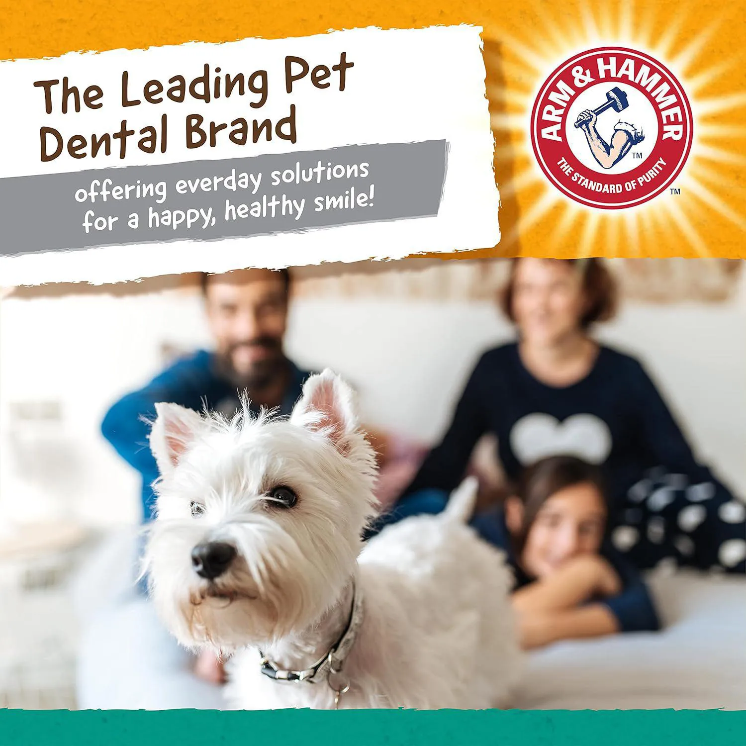 Juguete Dental para Perros con Forma de Hueso y Sabor a Maní Color Verde 6