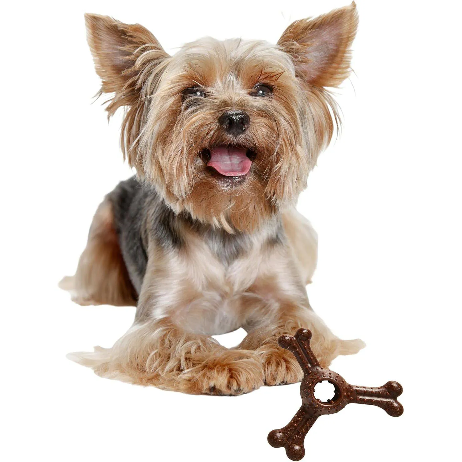 Juguete Triple Para Perros Con Fibra De Bambú Y Nailon Para Masticadores Agresivos