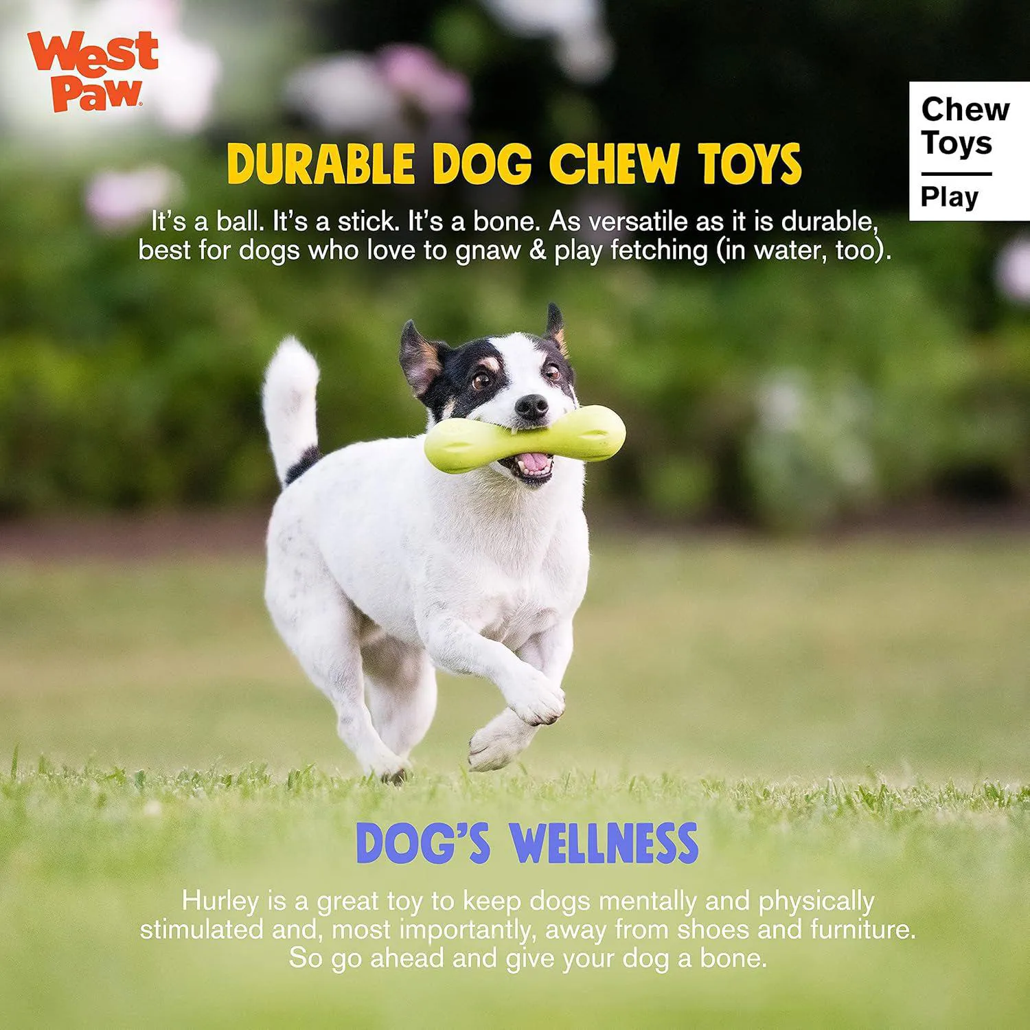 Hueso Resistente para Perros West Paw Zogoflex Hurley Color Aqua Tamaño Pequeño 4