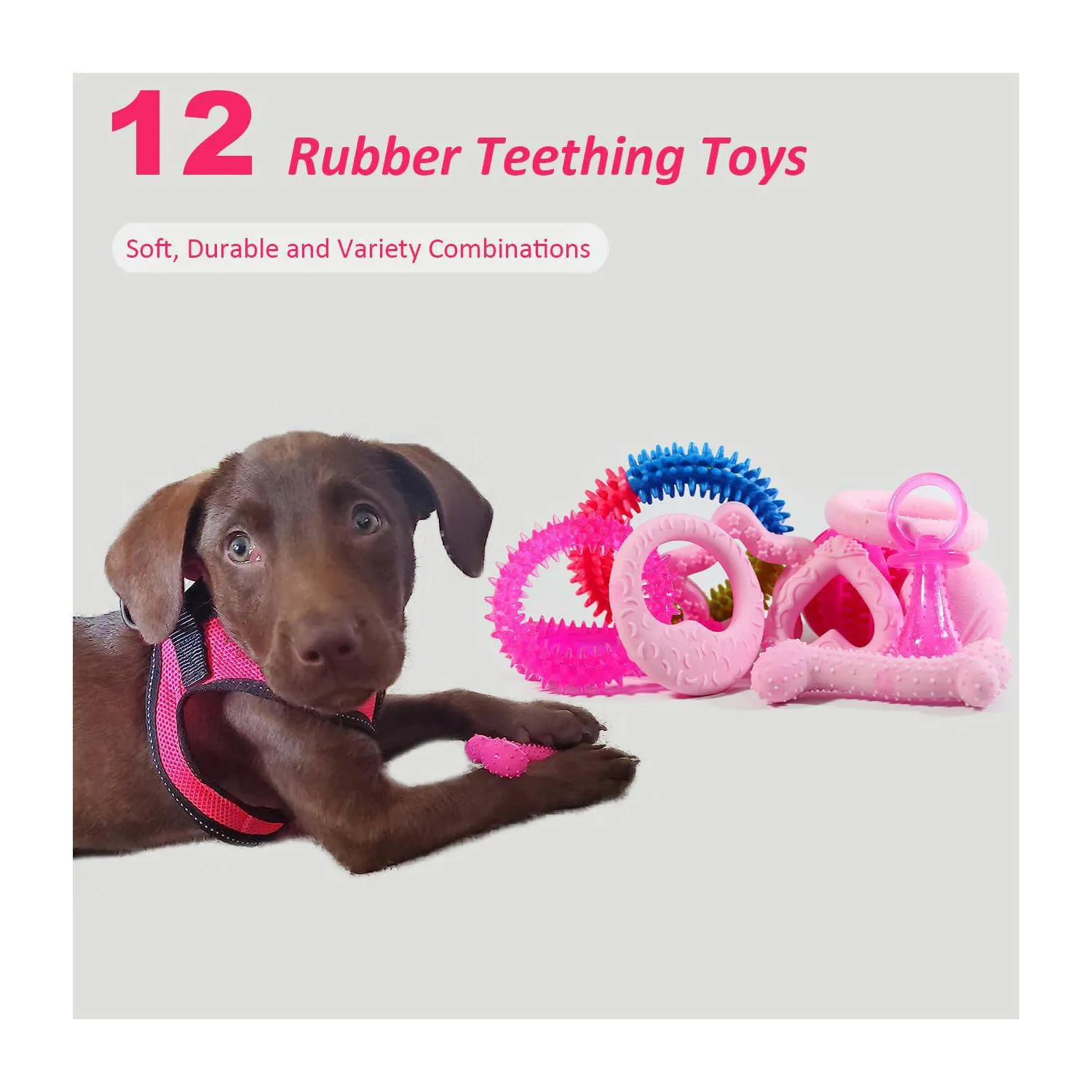 Juego De Juguetes Para Cachorros Paquete De Veinte Con Cuerda Y Accesorios Interactivos 3