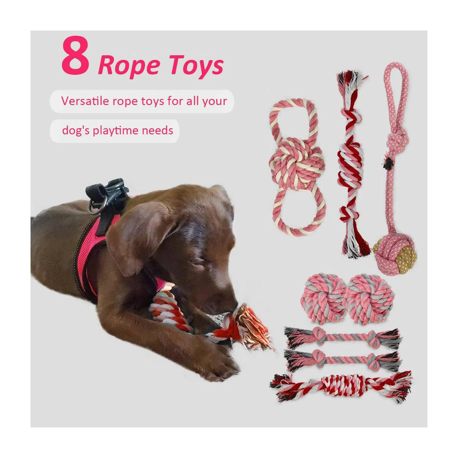 Juego De Juguetes Para Cachorros Paquete De Veinte Con Cuerda Y Accesorios Interactivos 4