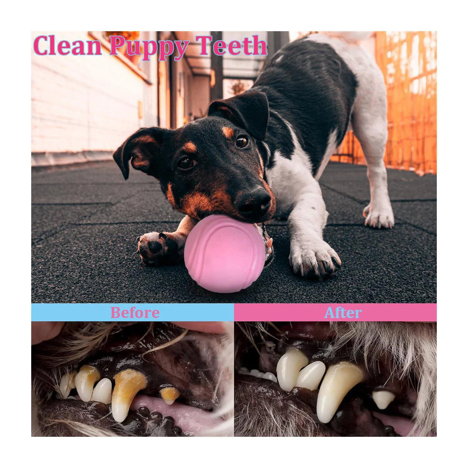 Juego De Juguetes Para Cachorros Paquete De Veinte Con Cuerda Y Accesorios Interactivos 5