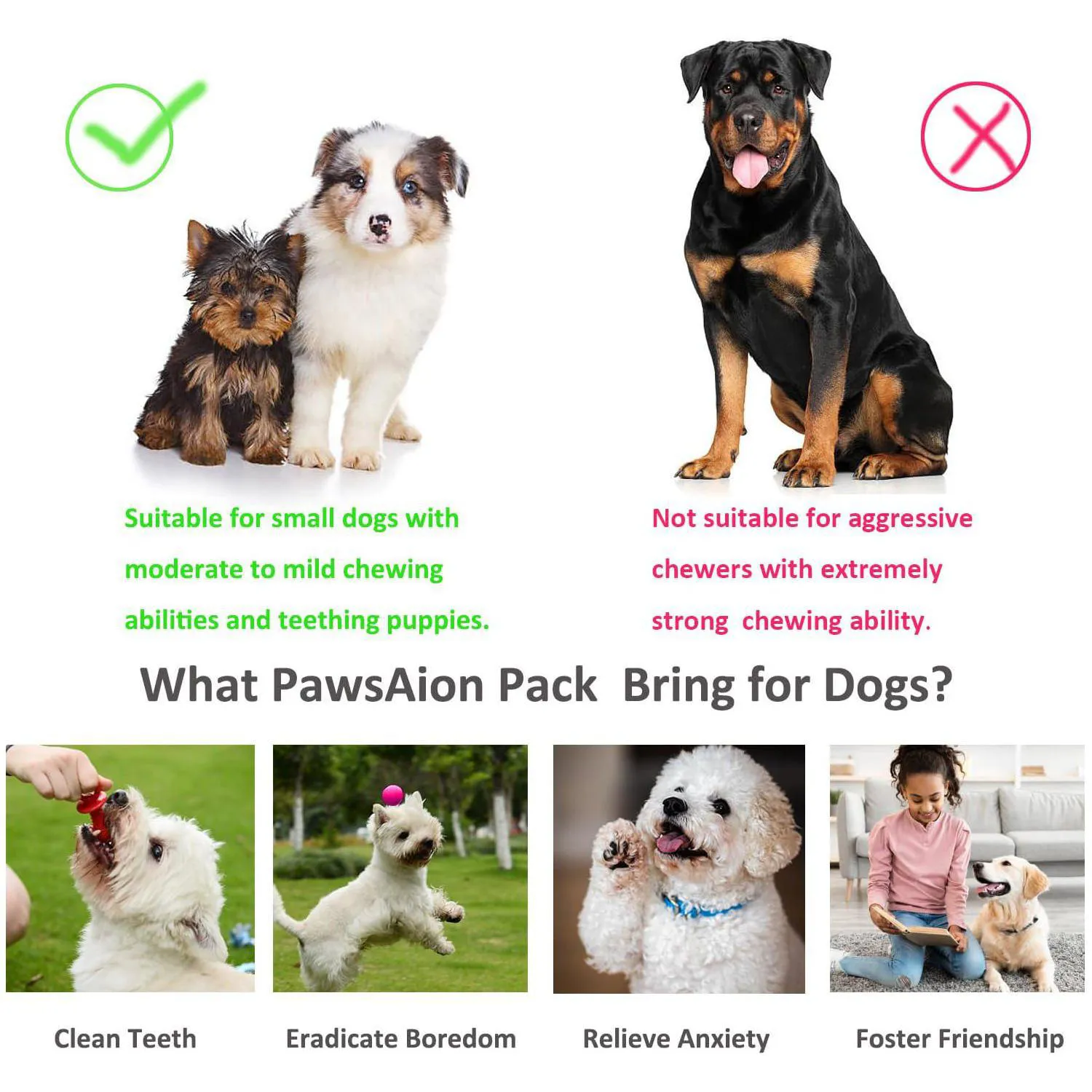 Juego De Juguetes Para Cachorros Paquete De Veinte Con Cuerda Y Accesorios Interactivos 6
