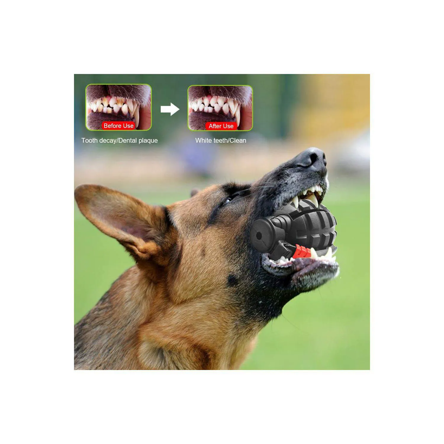 Juguete Para Perros Hswaye Que Resiste Mordidas Y Mejora La Salud Dental 3