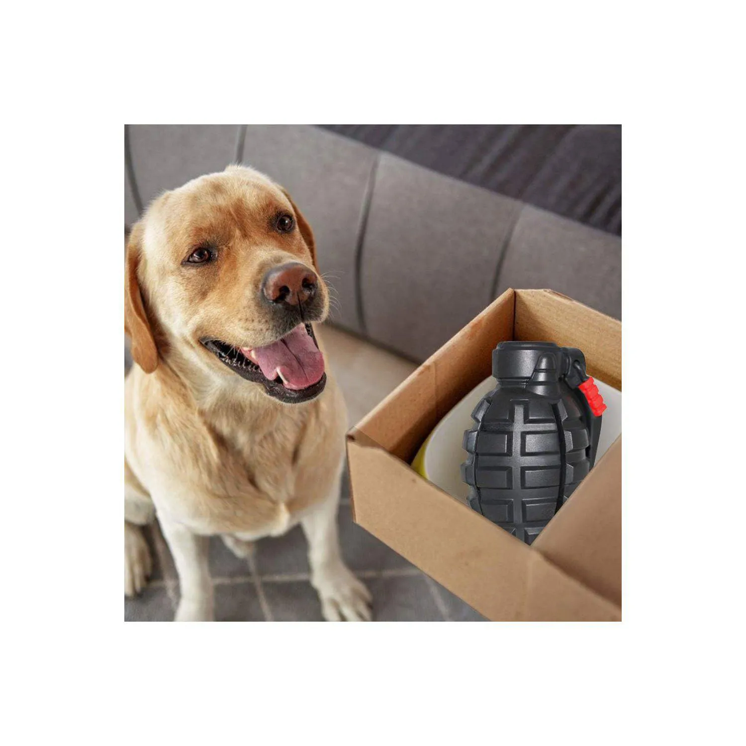 Juguete Para Perros Hswaye Que Resiste Mordidas Y Mejora La Salud Dental 5