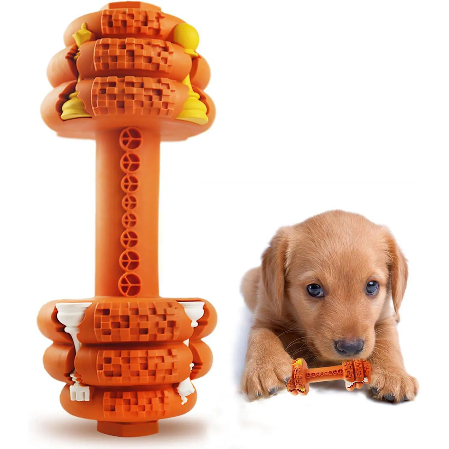 Juguete Resistente Para Perros Con Diseño De Mancuerna Y Limpieza Dental