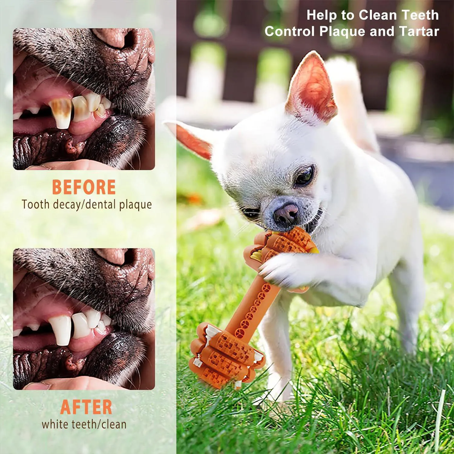 Juguete Resistente Para Perros Con Diseño De Mancuerna Y Limpieza Dental 3