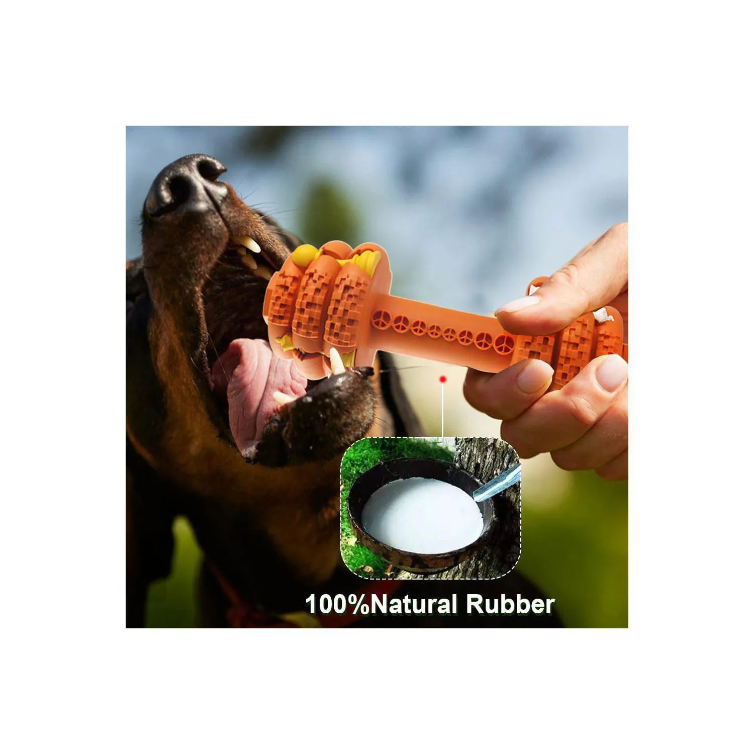Juguete Resistente Para Perros Con Diseño De Mancuerna Y Limpieza Dental 4