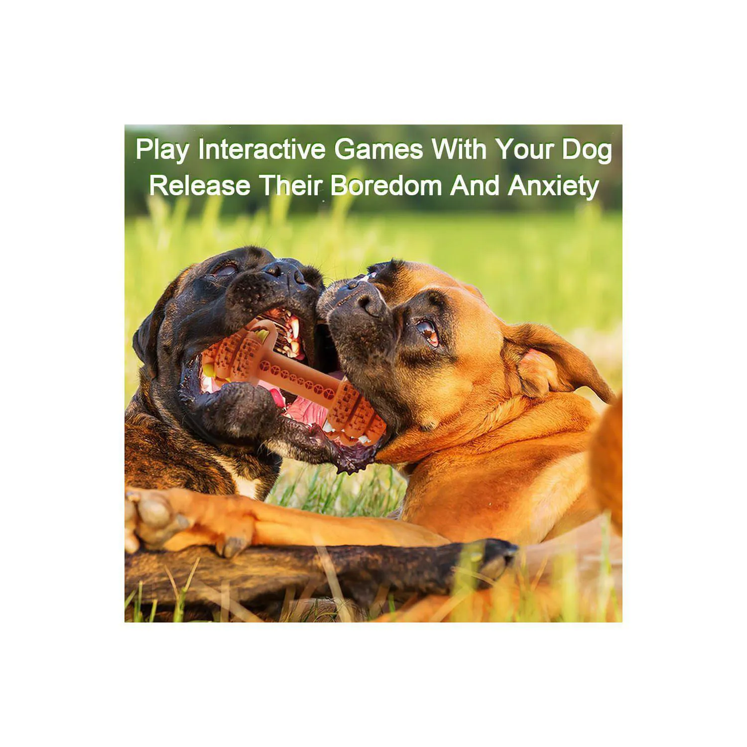 Juguete Resistente Para Perros Con Diseño De Mancuerna Y Limpieza Dental 5