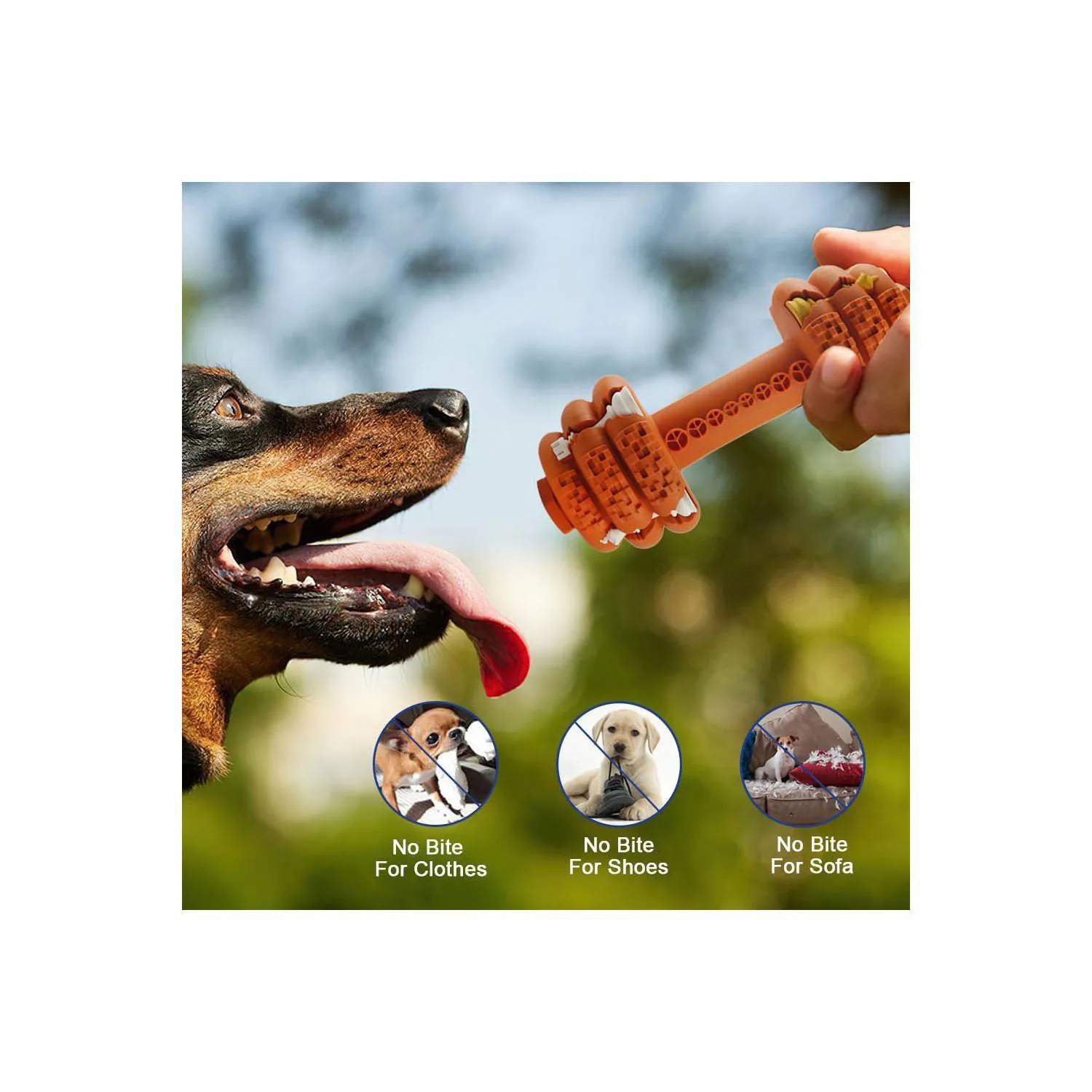 Juguete Resistente Para Perros Con Diseño De Mancuerna Y Limpieza Dental 7
