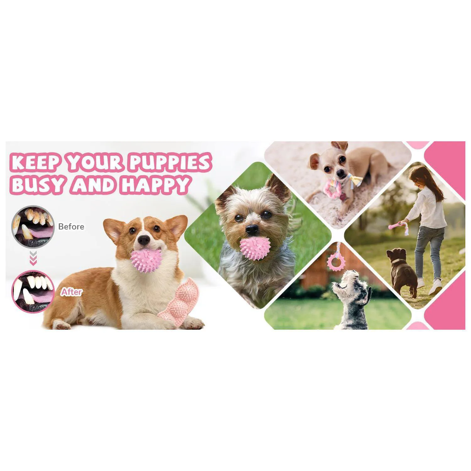 Paquete De Juguetes Masticables Para Cachorros Dentición Segura Y Duradera 4