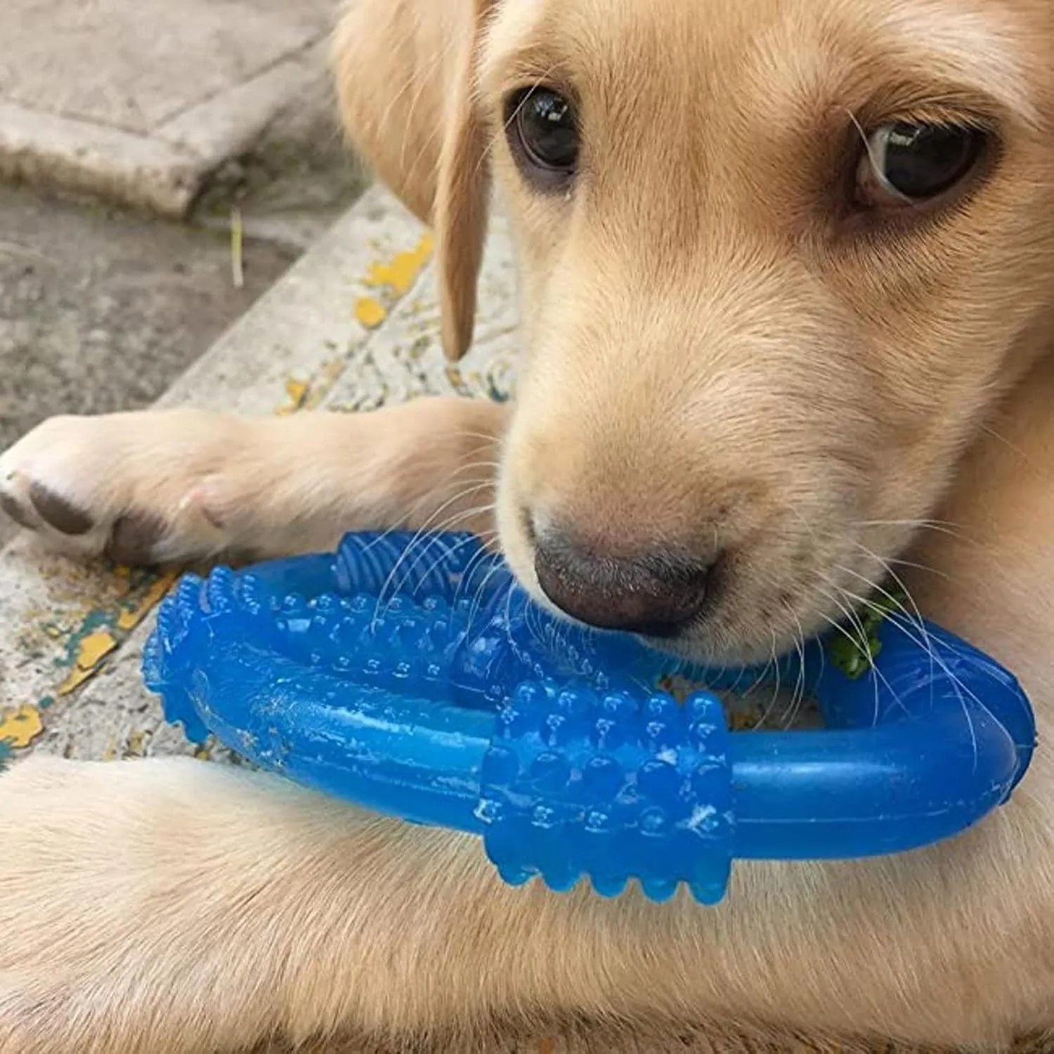 Juguete Interactivo Para Cachorros Con Sabor A Mantequilla De Maní Nylabone
