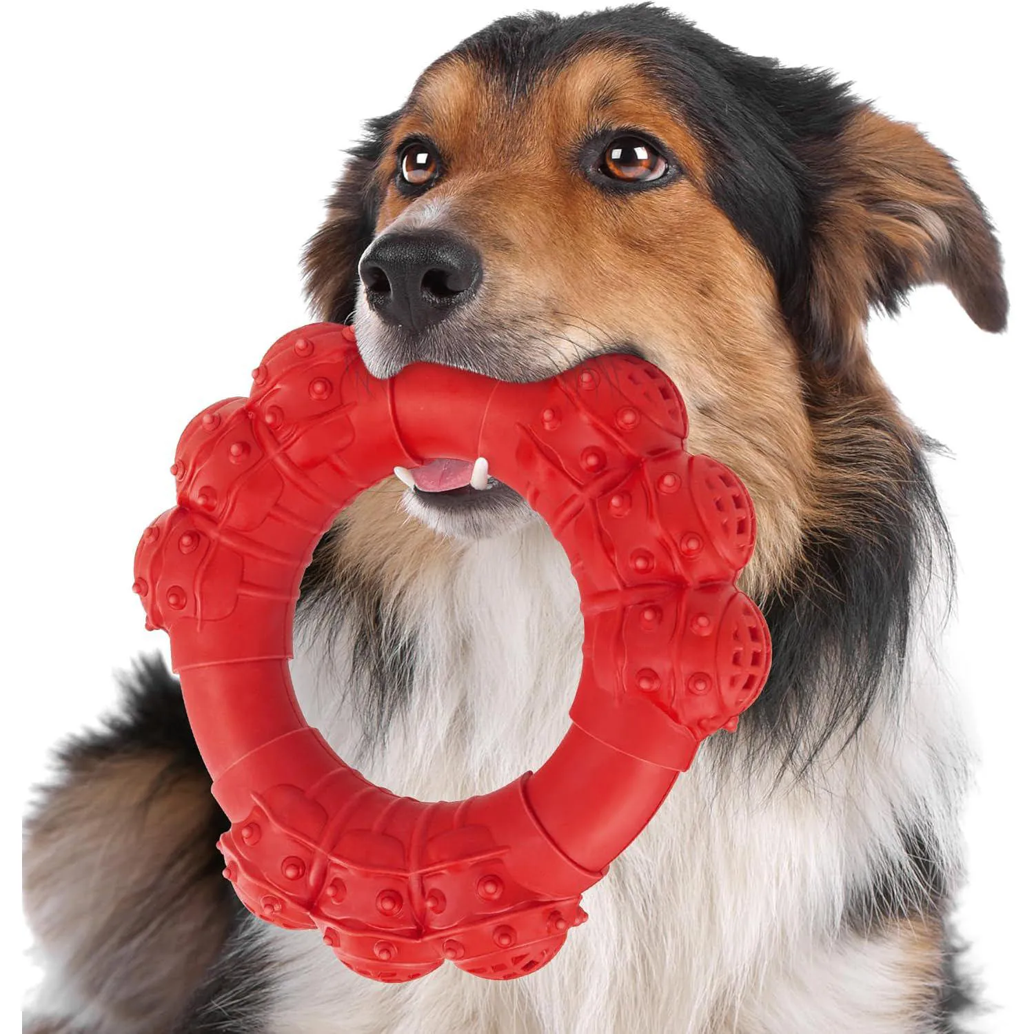 Juguete De Anillo Resistente Para Perros Masticadores Agresivos Con Sabor A Carne