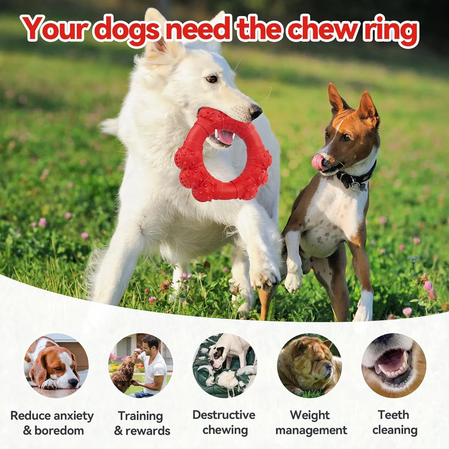 Juguete De Anillo Resistente Para Perros Masticadores Agresivos Con Sabor A Carne 5