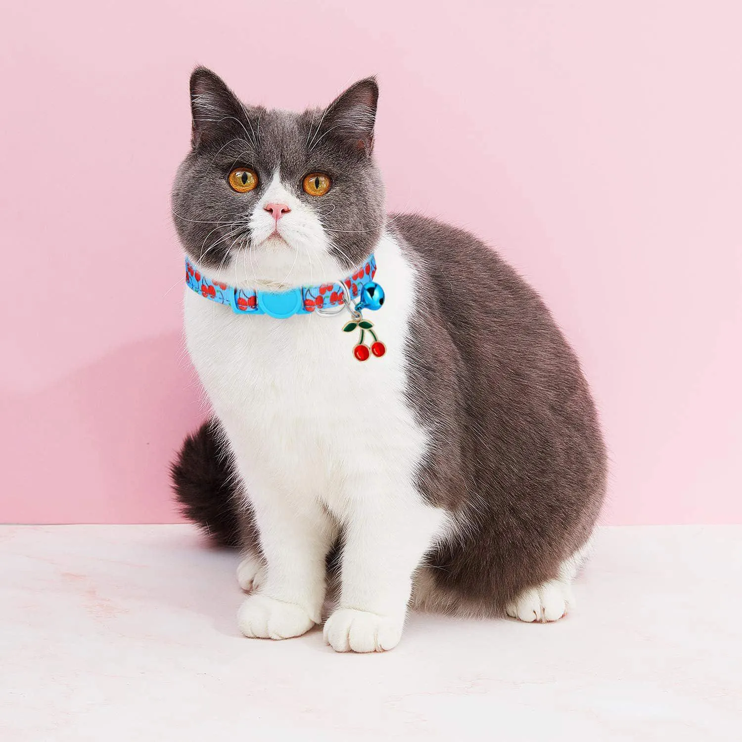 Collar Gato Weewooday Frutas Veraniegas Ajustable con Campana Removible 6