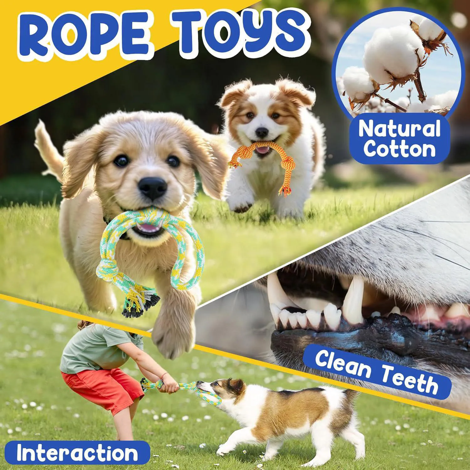 Paquete De Juguetes Para Cachorros Con Dentición Y Juegos Interactivos 4