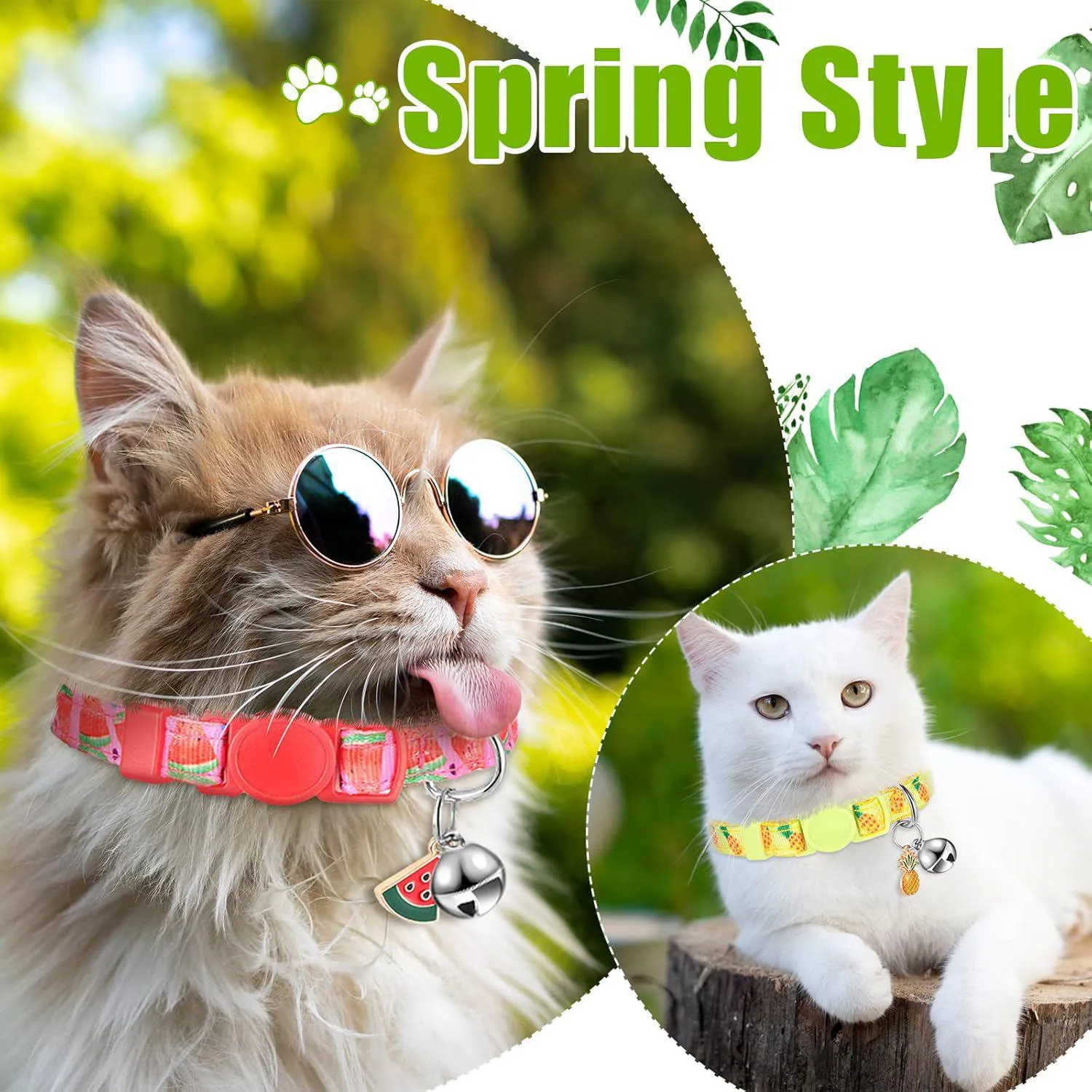 Collar Gato Frienda Frutas de Verano Ajustable con Campana Set por 12 Unidades