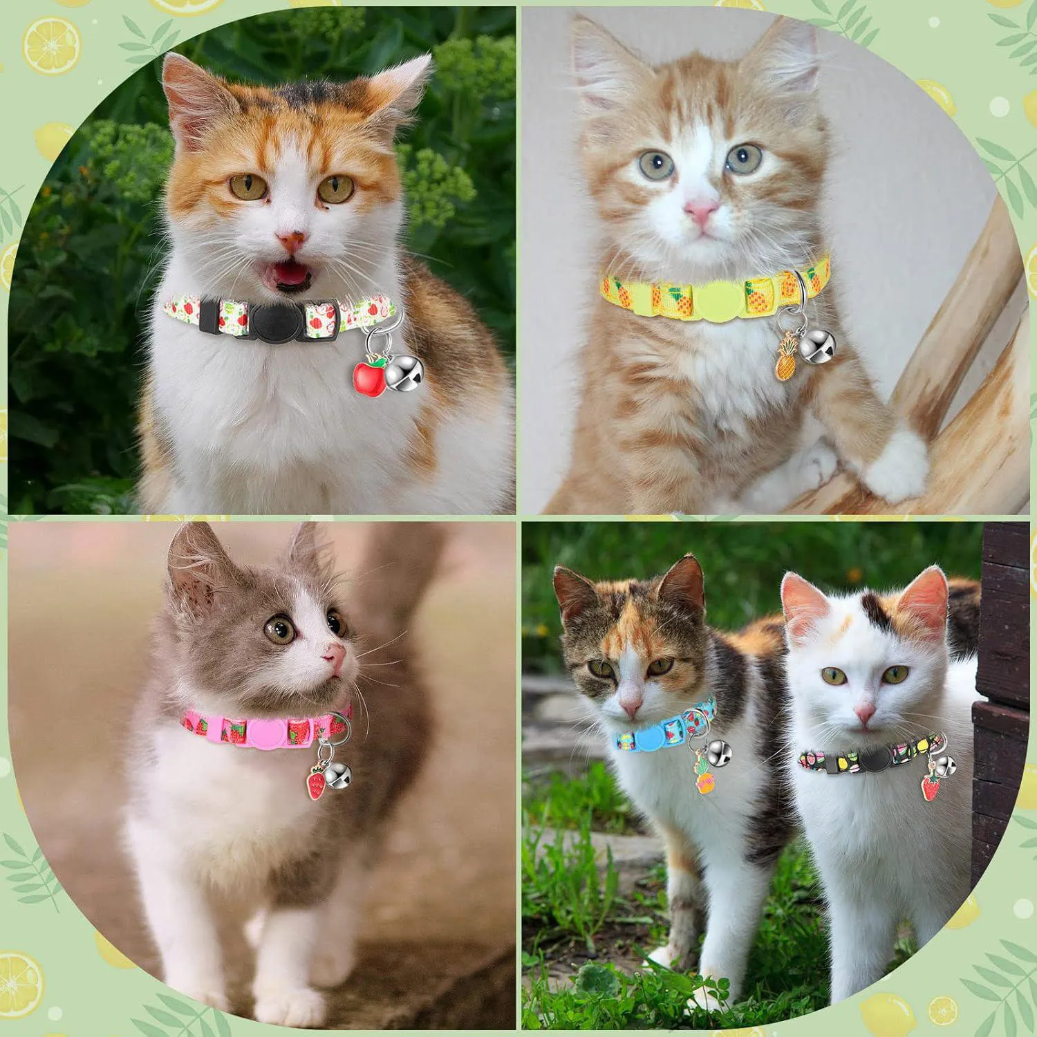 Collar Gato Frienda Frutas de Verano Ajustable con Campana Set por 12 Unidades 6