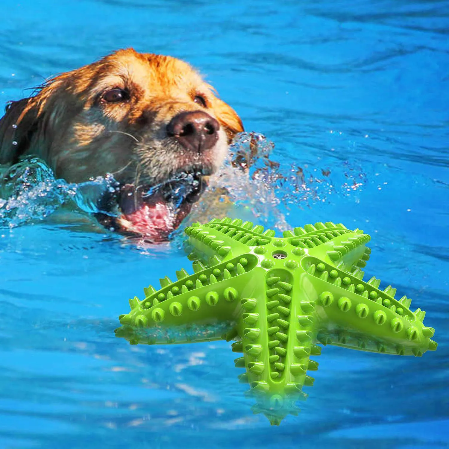 Juguete Interactivo Para Perros Masticadores Agresivos Con Limpieza Dental 7