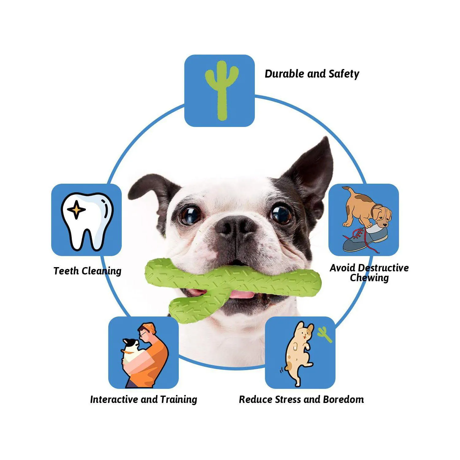 Juguete Masticable Con Forma De Cactus Para Perros Con Sabor A Leche