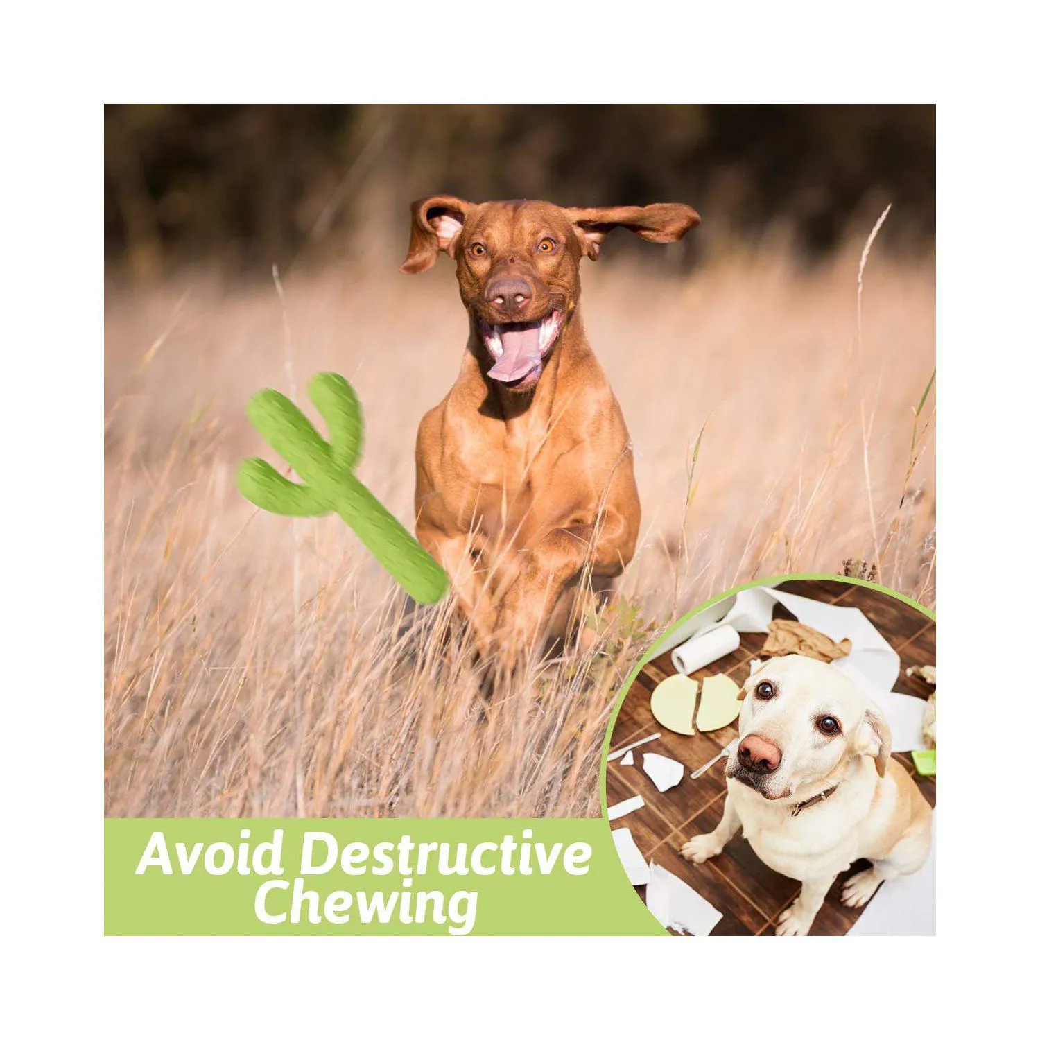 Juguete Masticable Con Forma De Cactus Para Perros Con Sabor A Leche 5