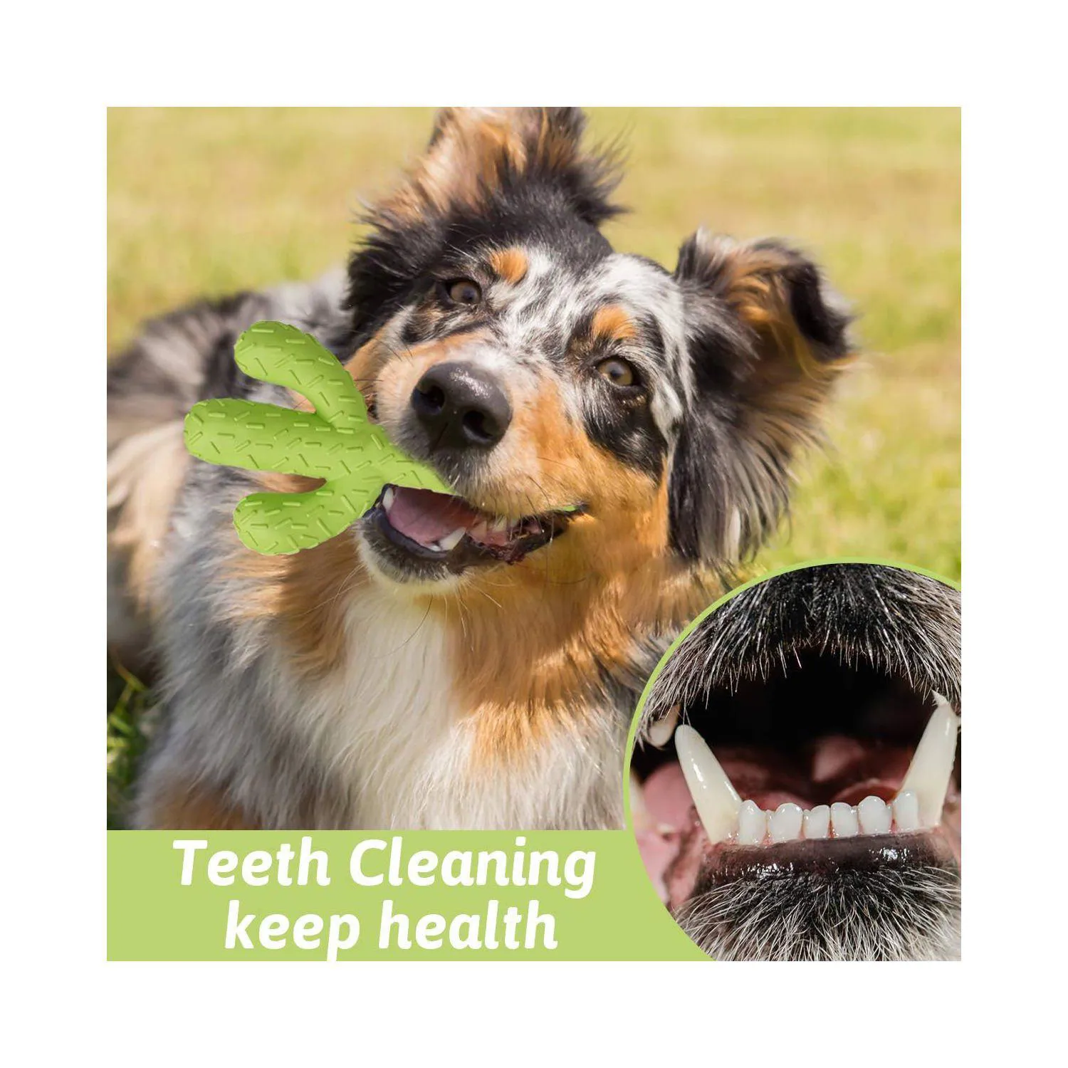 Juguete Masticable Con Forma De Cactus Para Perros Con Sabor A Leche 7