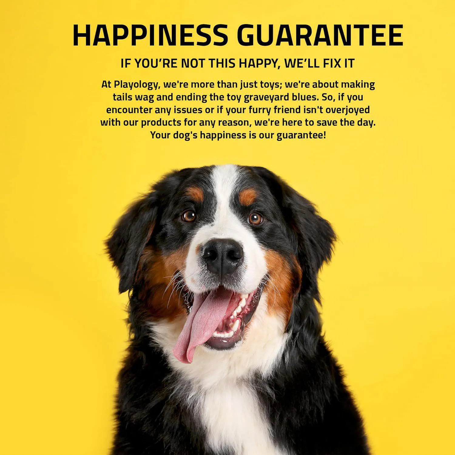 Juguetes Masticables Para Perros Pequeños Con Aroma A Mantequilla De Maní Paquete De 3 6