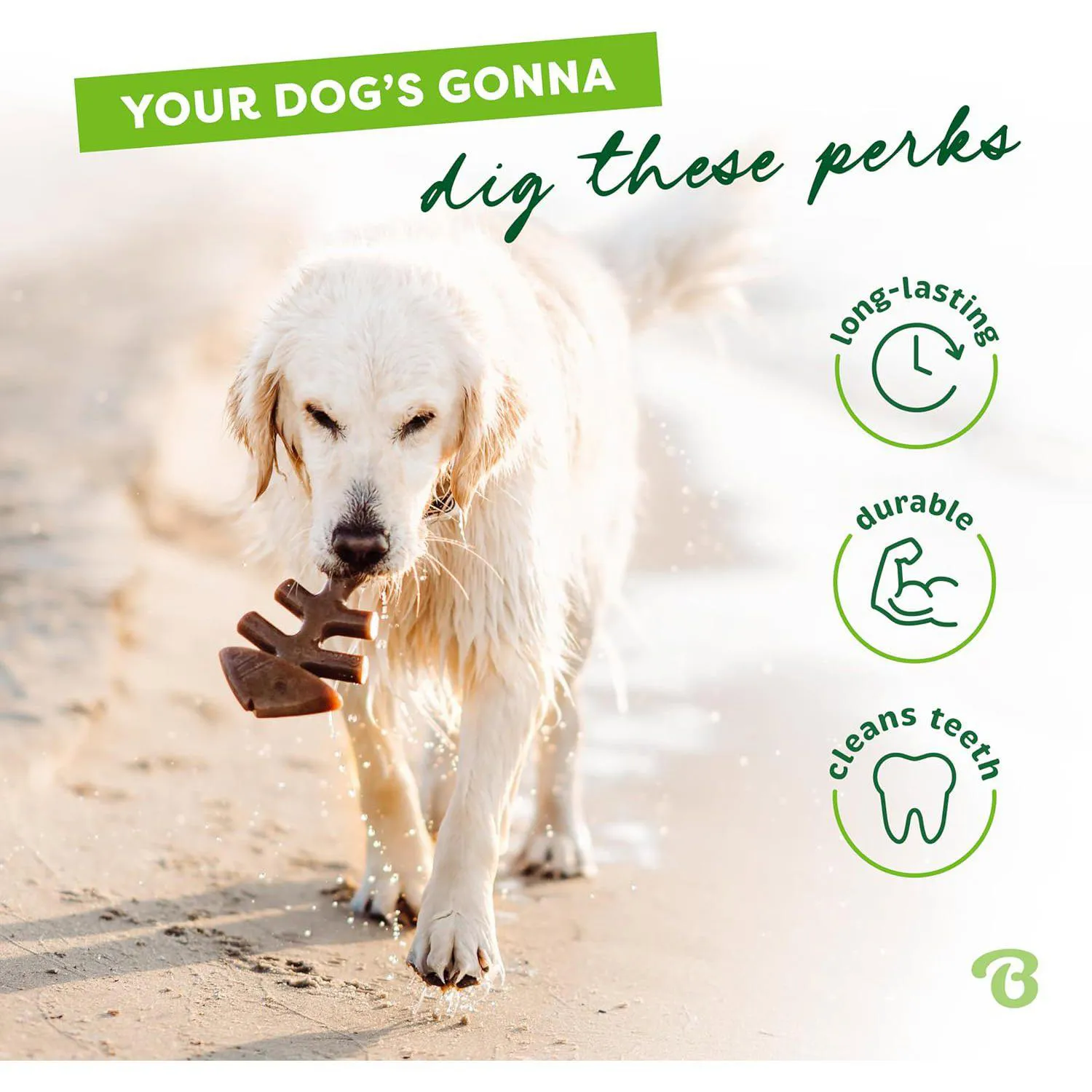 Juguete Masticable Para Perros Con Sabor A Pescado Resistente Y Duradero 3