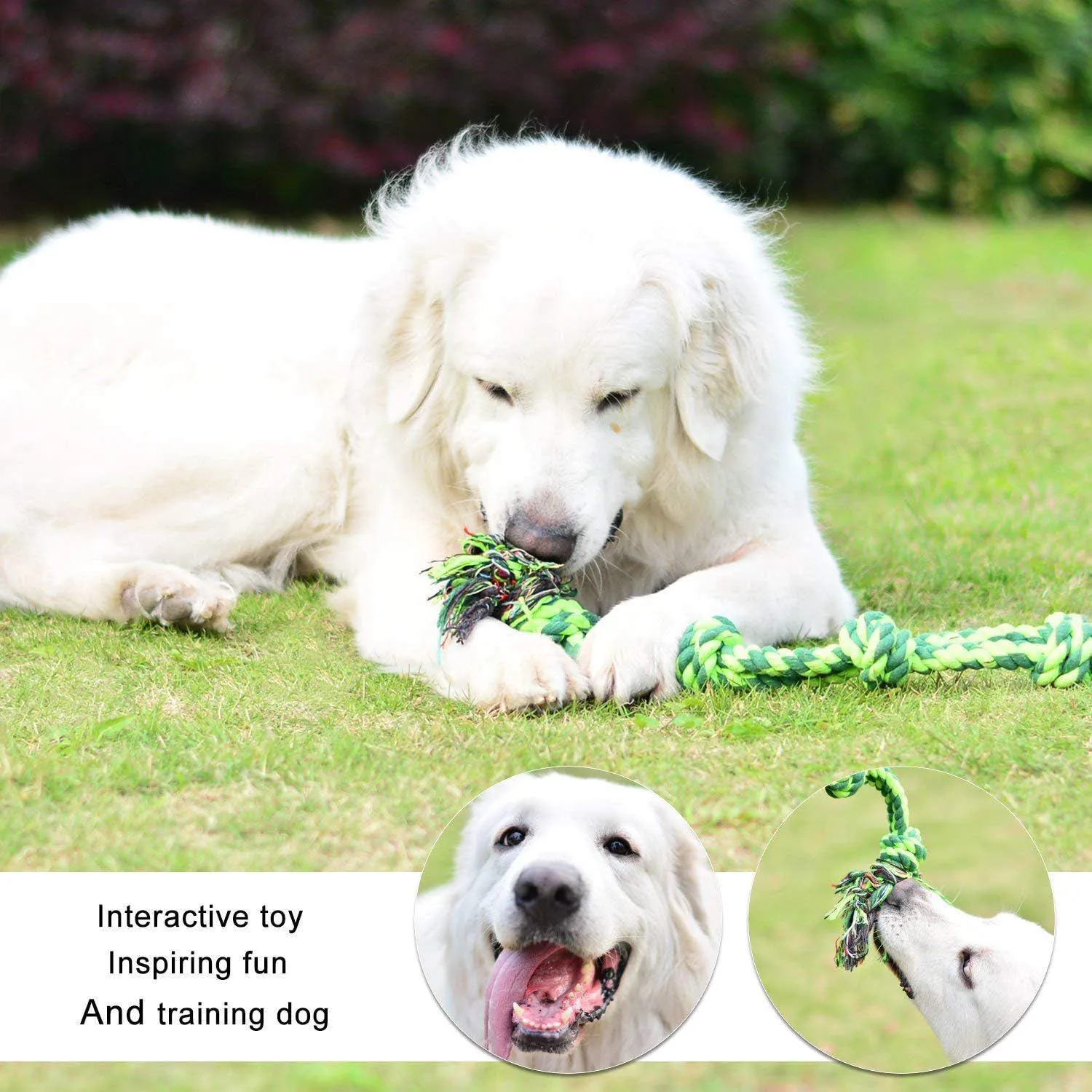Juguete De Ganso Indestructible Para Perros Agresivos De Nailon Resistente 3