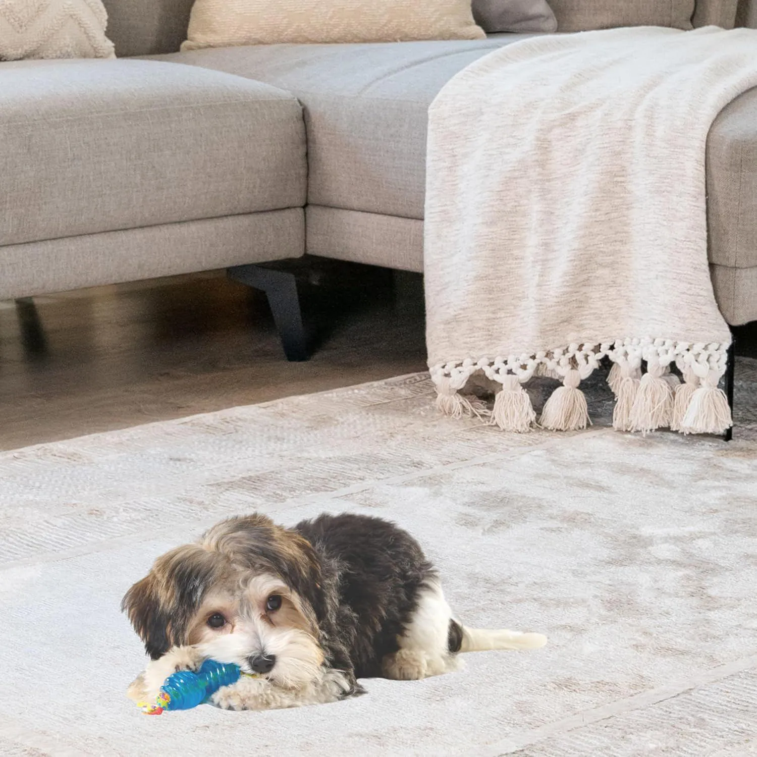 Juguetes Petstages Mini Orka Hueso y Mancuerna para Cachorros Activos 4
