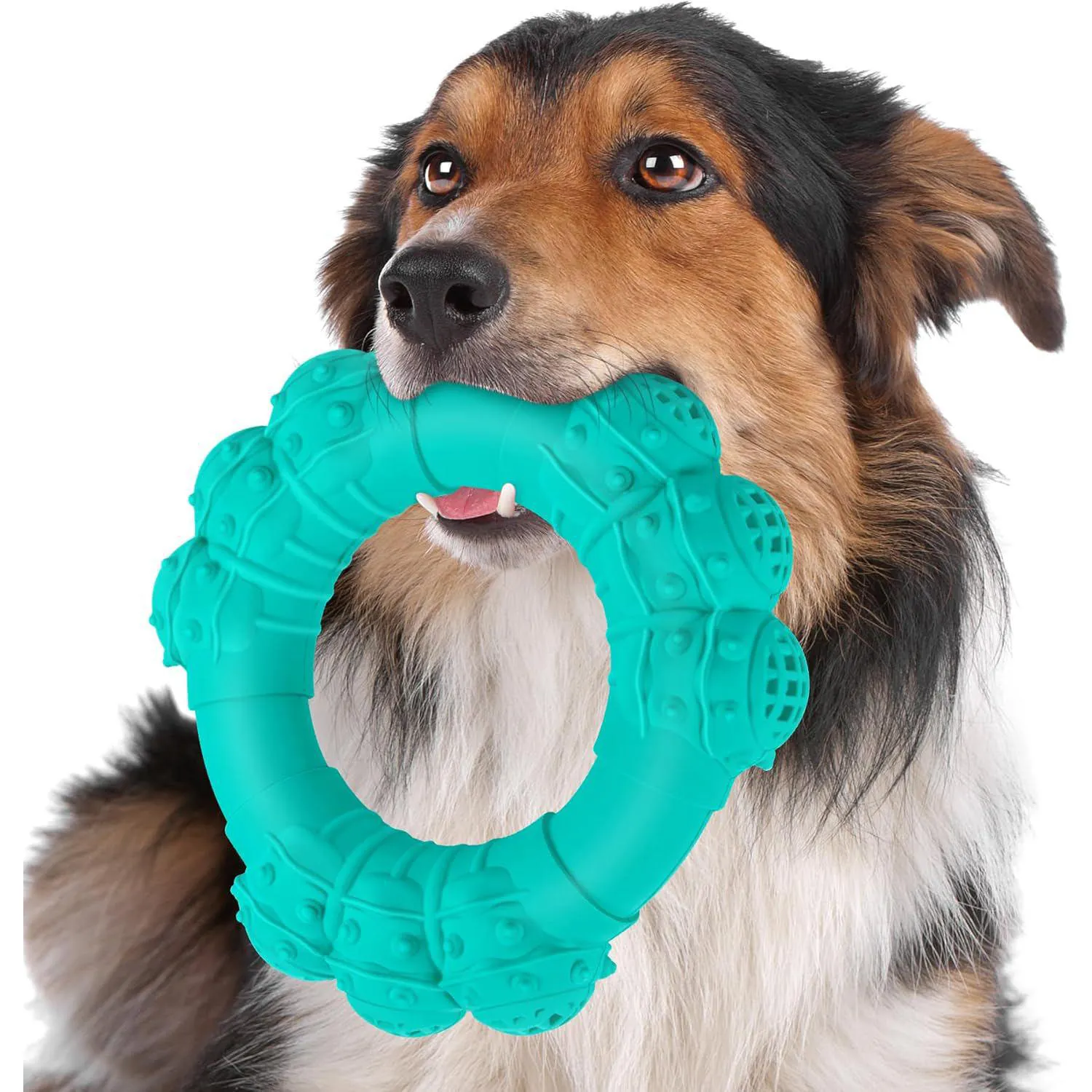Juguete Para Perros DAOZIJI Que Resiste Mordidas Y Limpia Dientes Con Sabor A Carne