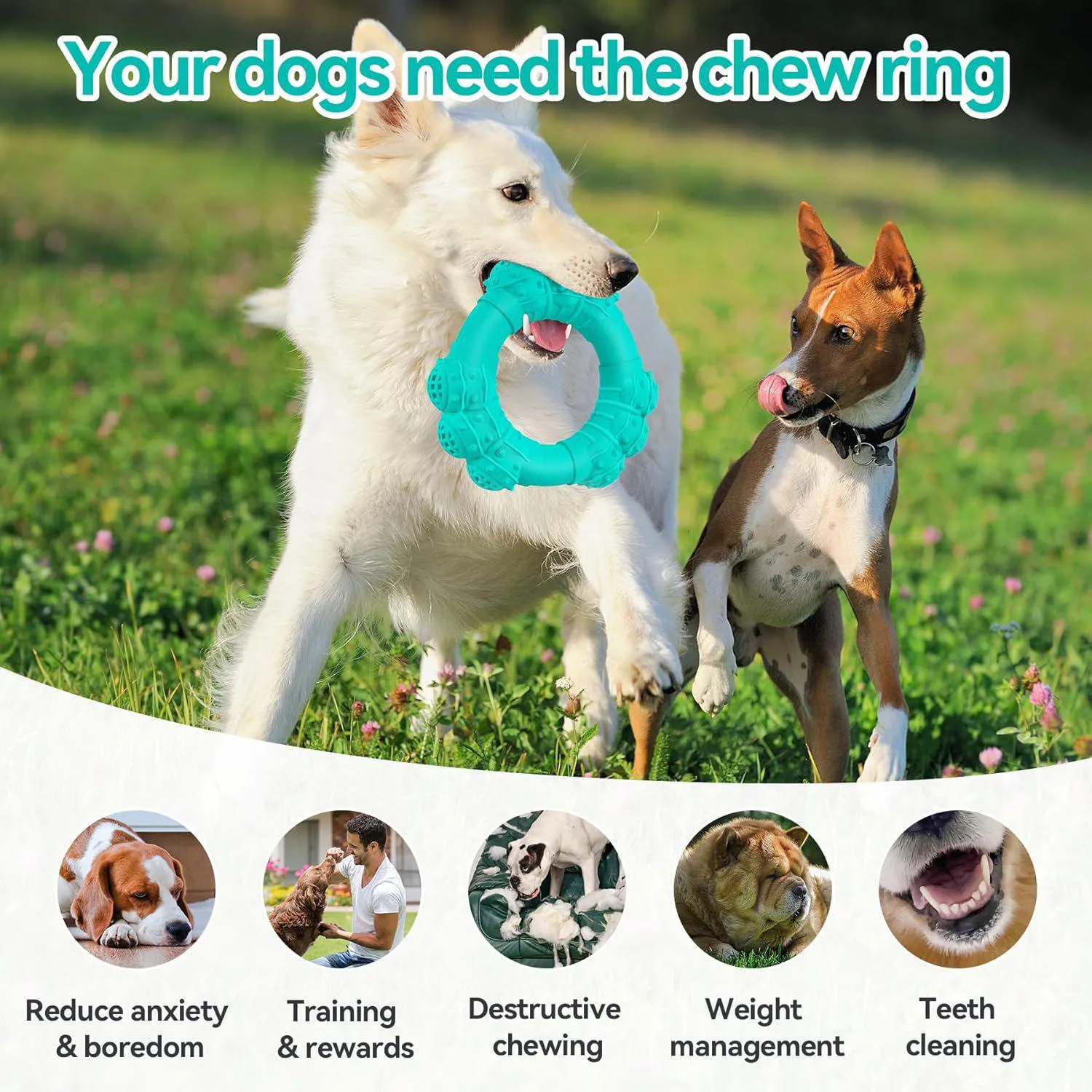 Juguete Para Perros DAOZIJI Que Resiste Mordidas Y Limpia Dientes Con Sabor A Carne 5
