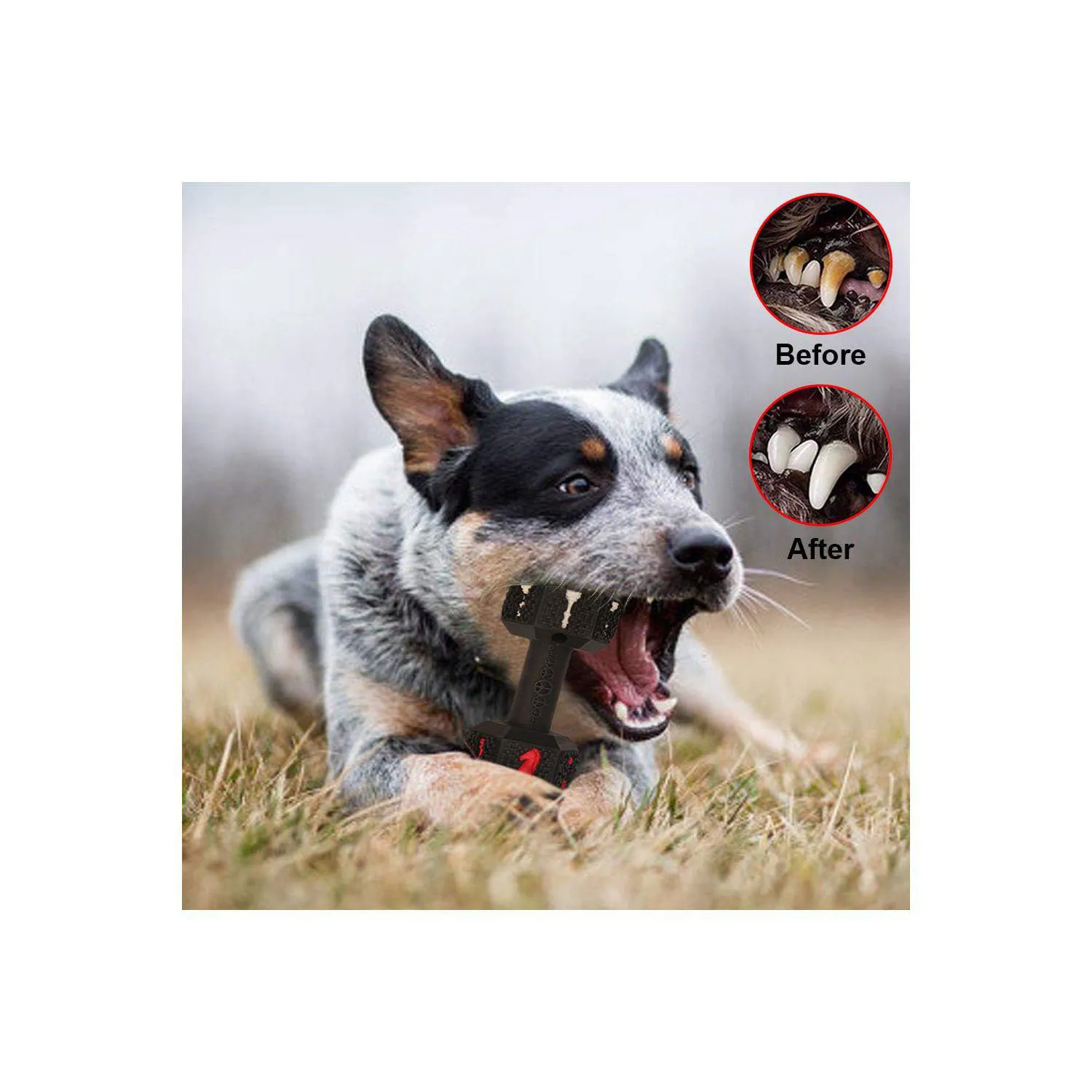 Juguete Resistente Para Perros Grandes Con Diseño De Mancuerna Y Limpieza Dental 5