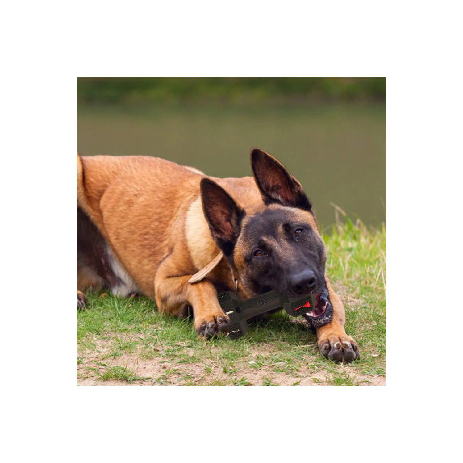 Juguete Resistente Para Perros Grandes Con Diseño De Mancuerna Y Limpieza Dental 6
