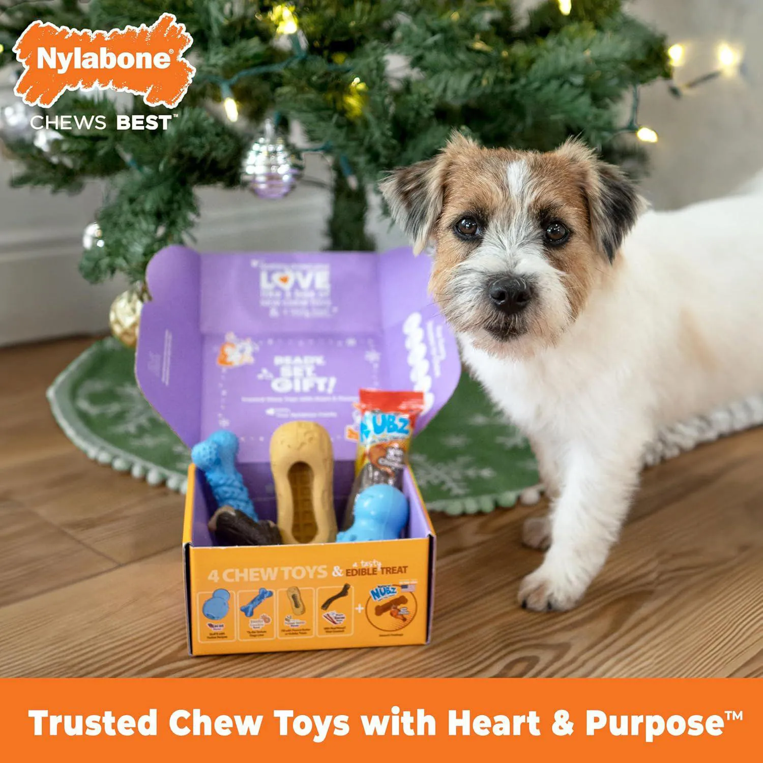 Caja De Regalo Para Perros Con Juguetes Masticables Y Golosina Natural