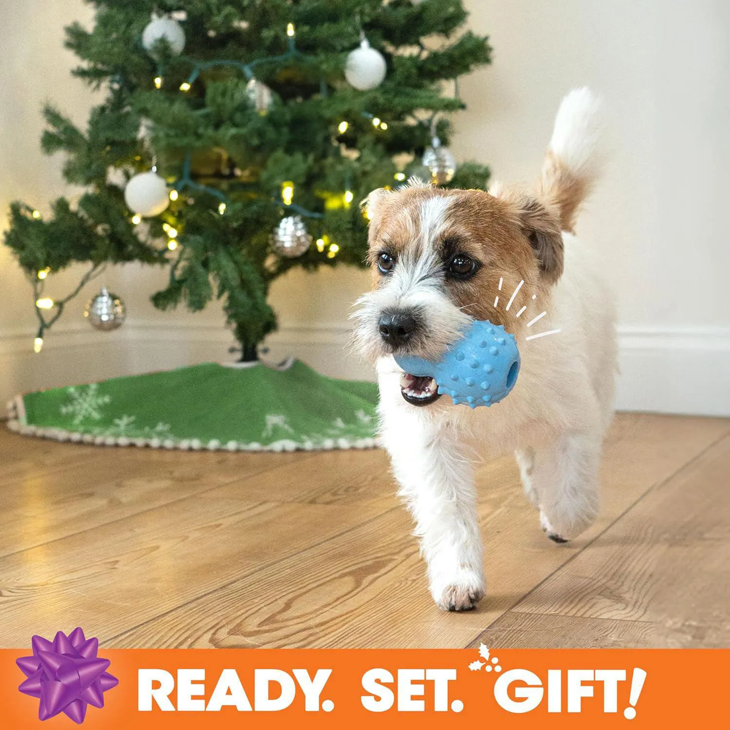 Caja De Regalo Para Perros Con Juguetes Masticables Y Golosina Natural 7
