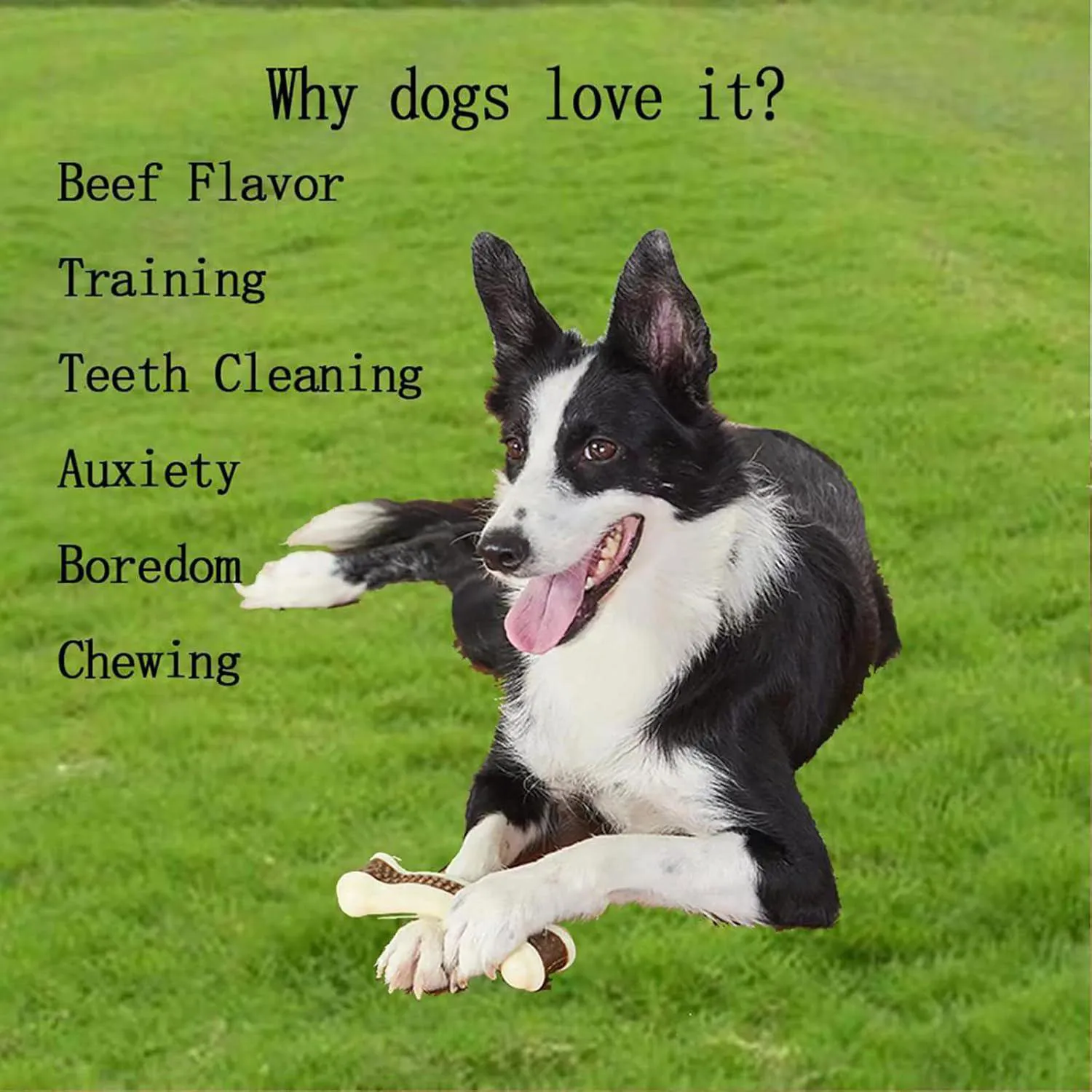 Huesos Para Perros Masticadores Agresivos Paquete De Dos Con Sabor A Carne 5