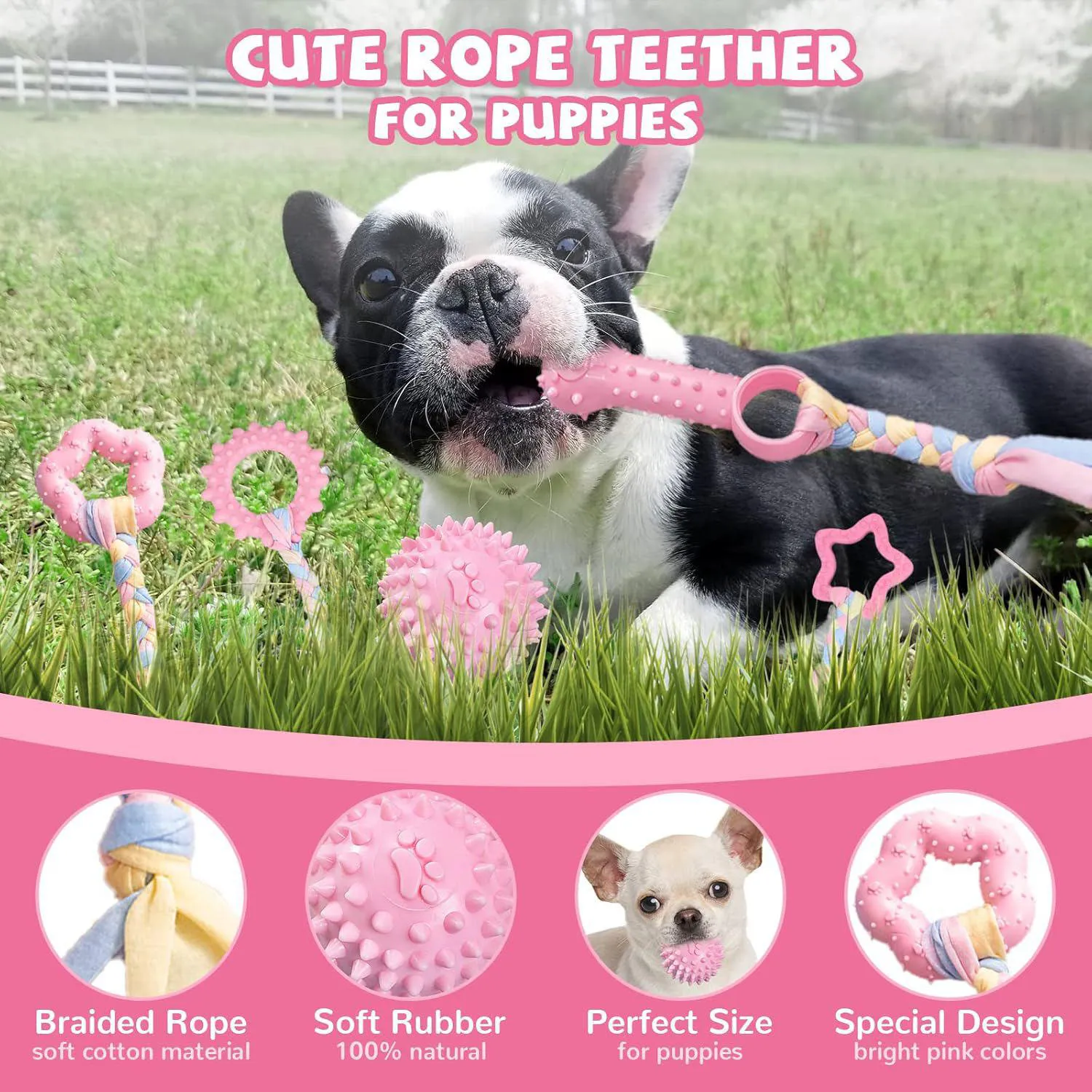Paquete De Juguetes Para Cachorros Con Dentición Segura Y Diseño Interactivo